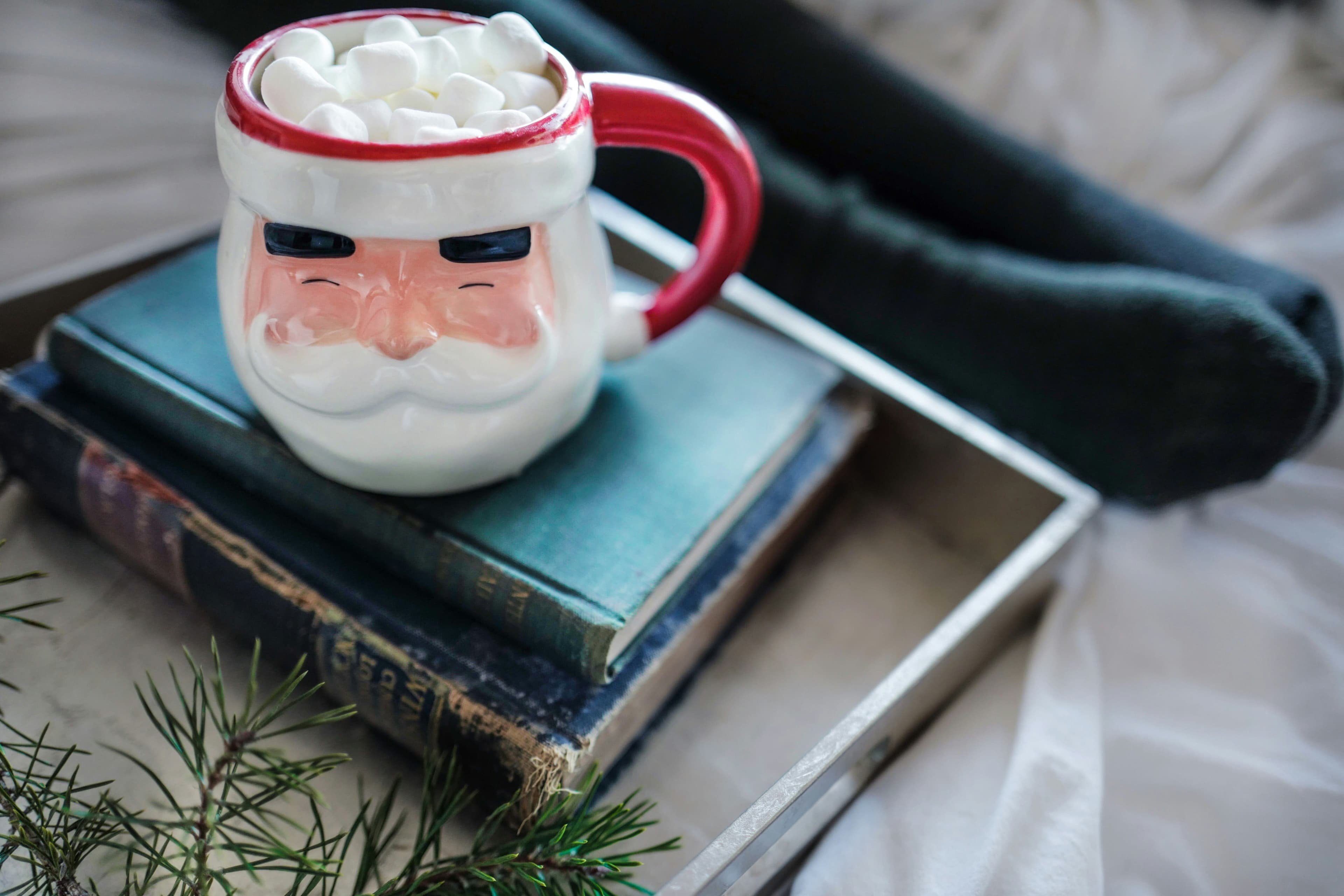 A father christmas mug with marshmallow topping resting on two books.