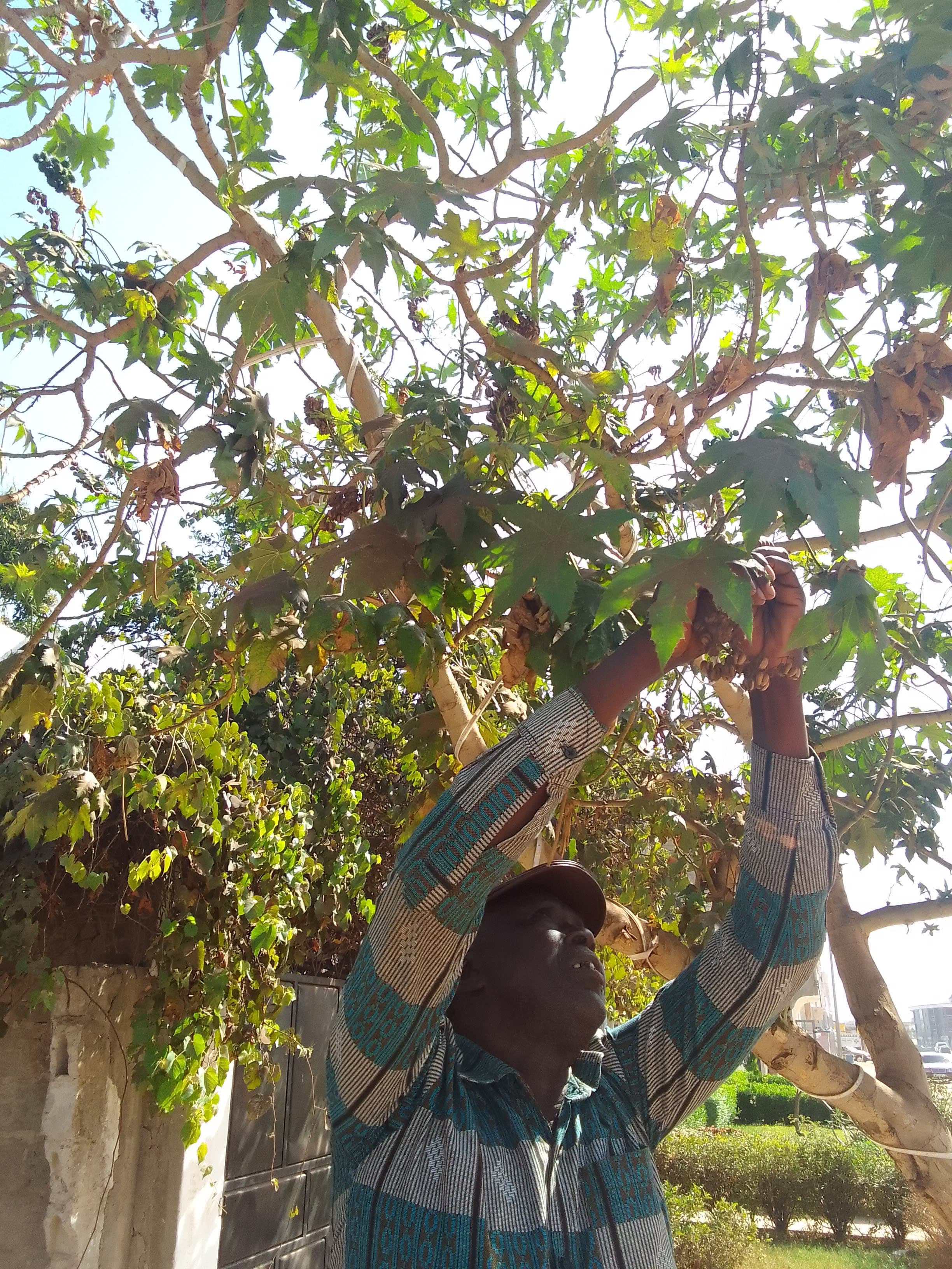 First-Timer’s Guide to The Gambia: Discover ‘The Smiling Coast of Africa’ curated by Kaye Brown