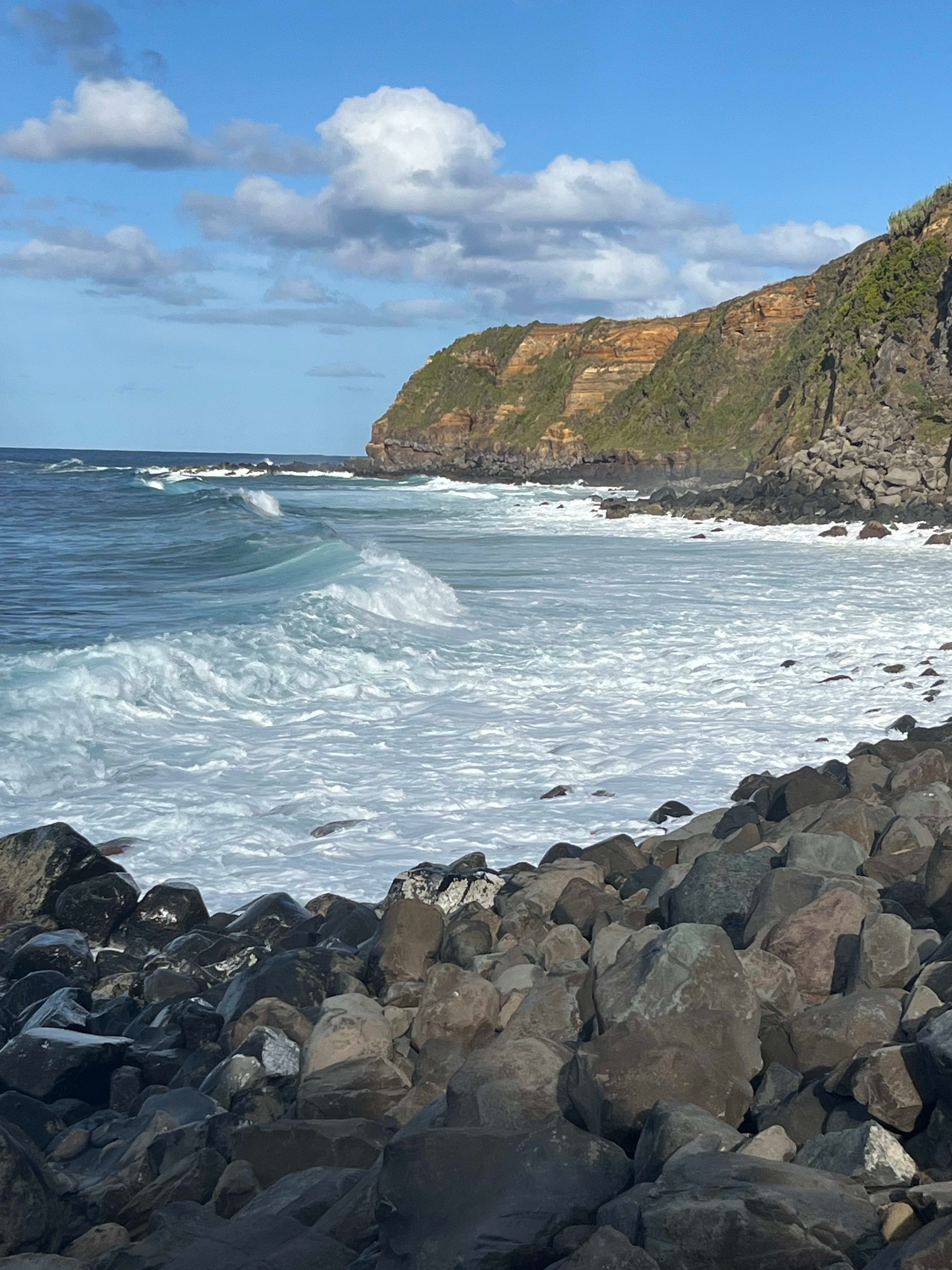 Exploring the Azores: The Natural Beauty of Terceira Island curated by Susan Walser