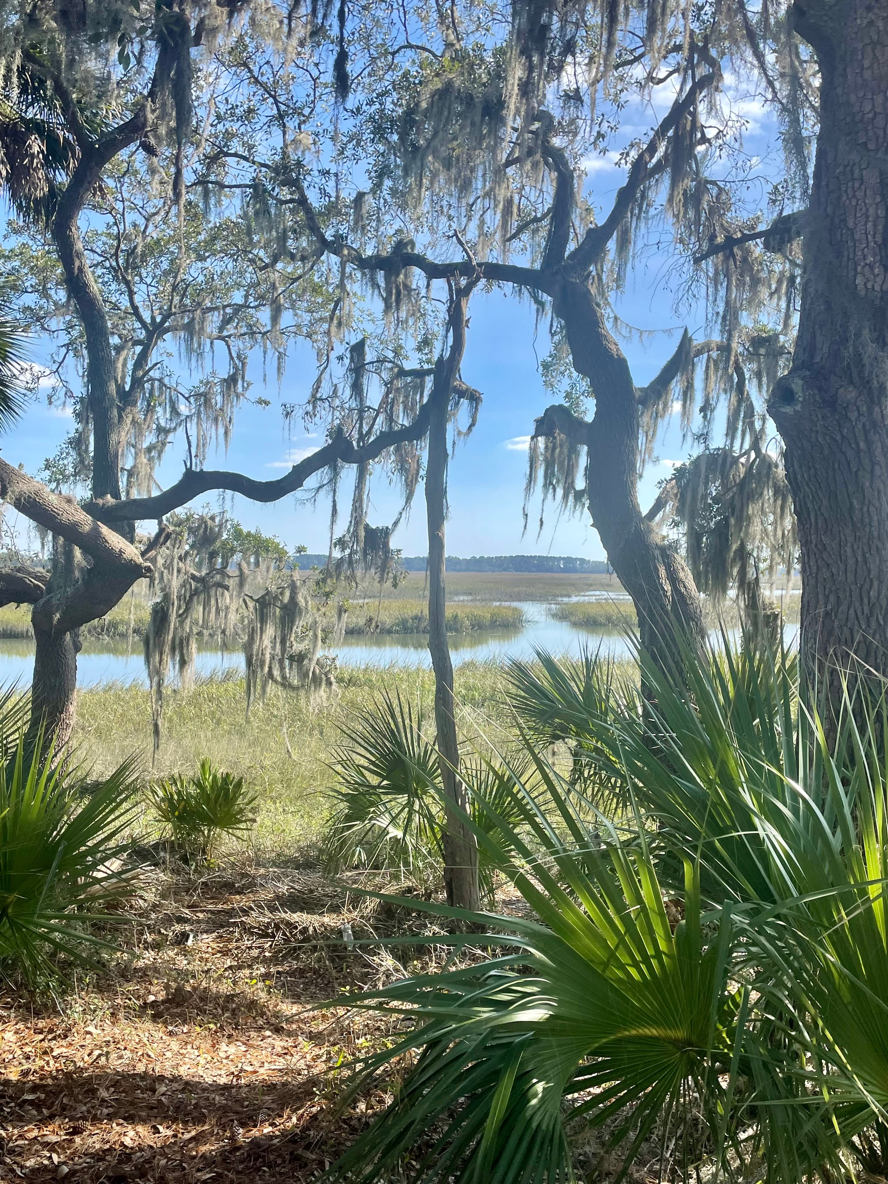 Site Inspection at Montage Palmetto Bluff curated by Kathryn Brennan