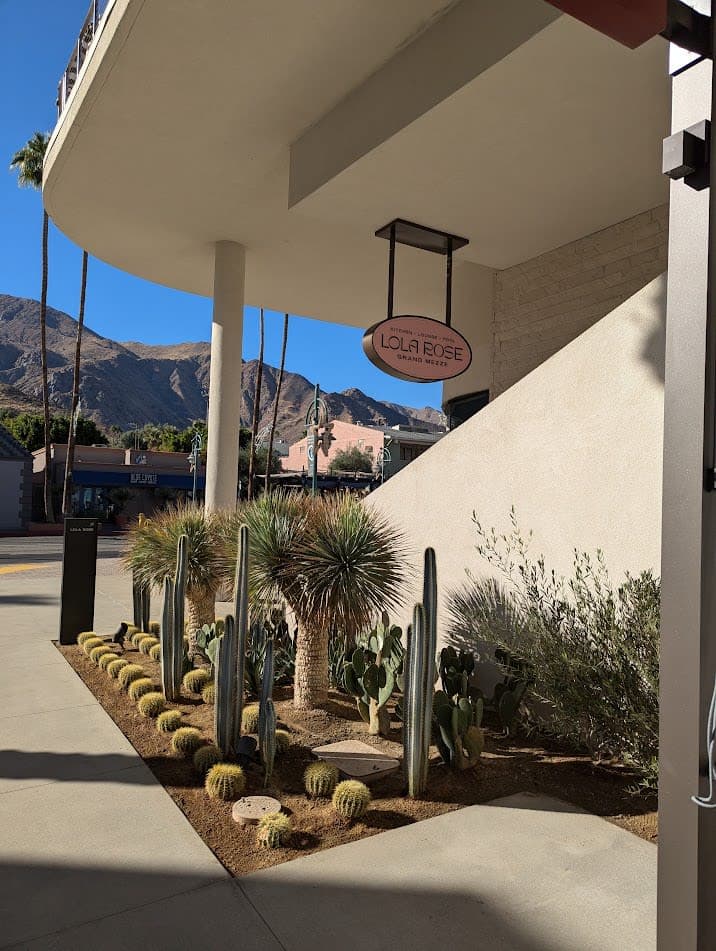 Palm Springs: Enjoy the Ultimate Southern California Year-Round Vacation Spot curated by Francesca Zanetti