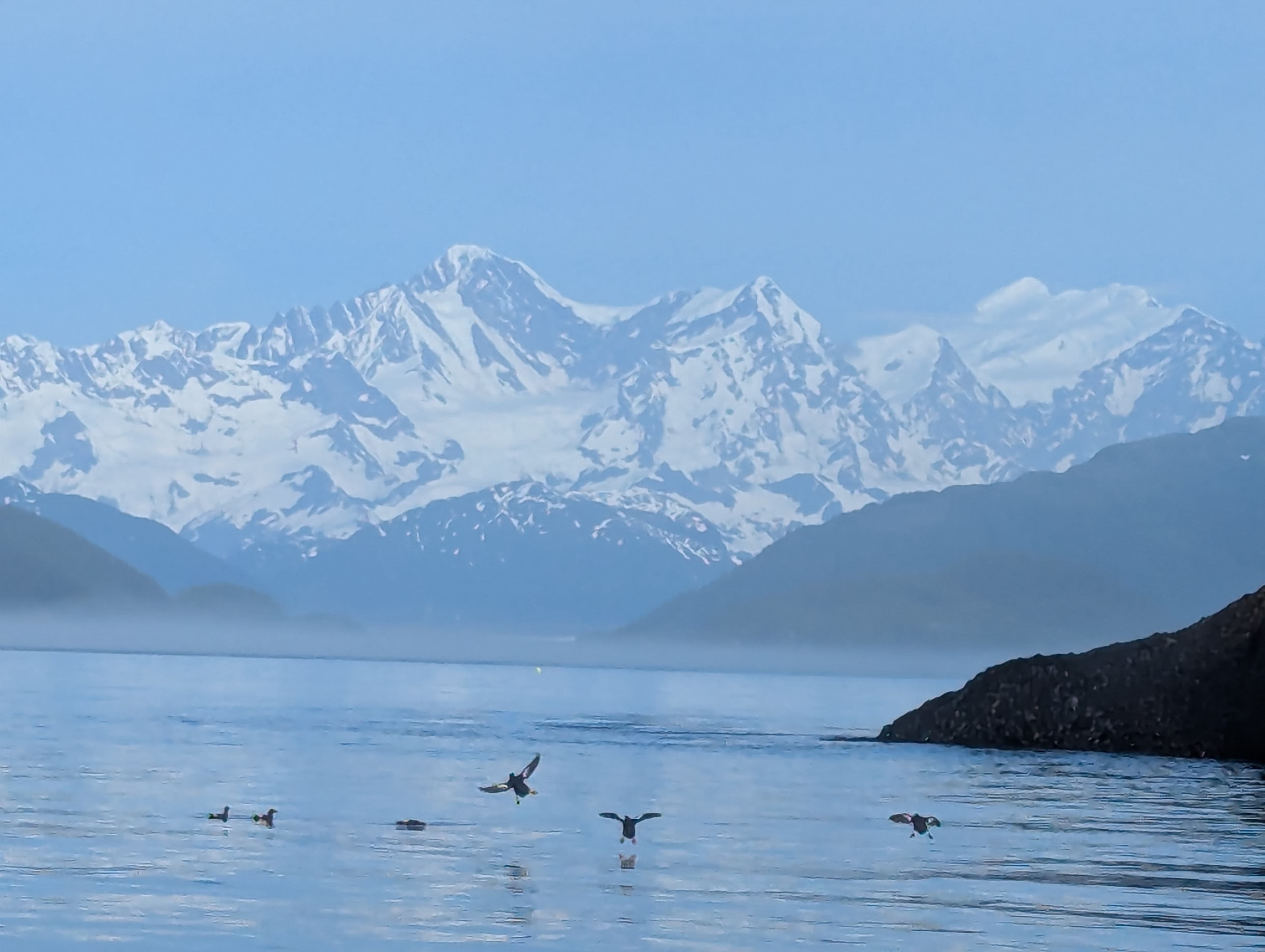 UnCruise Alaska Trip Report: How a Small-Ship Cruise Won Us Over in Alaska curated by Lisa Verbeck