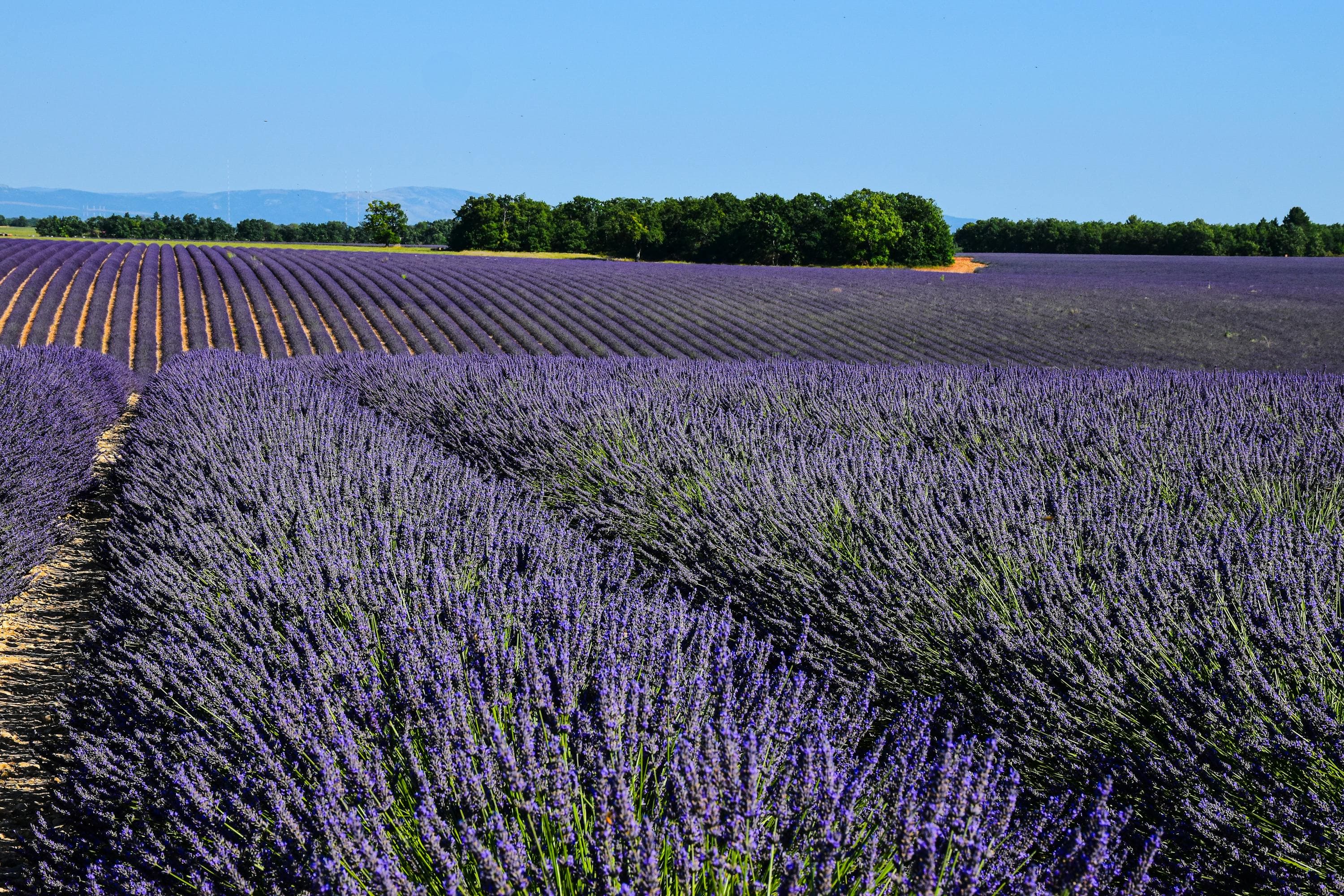 South of France Summer Road Trip curated by Emily Rose