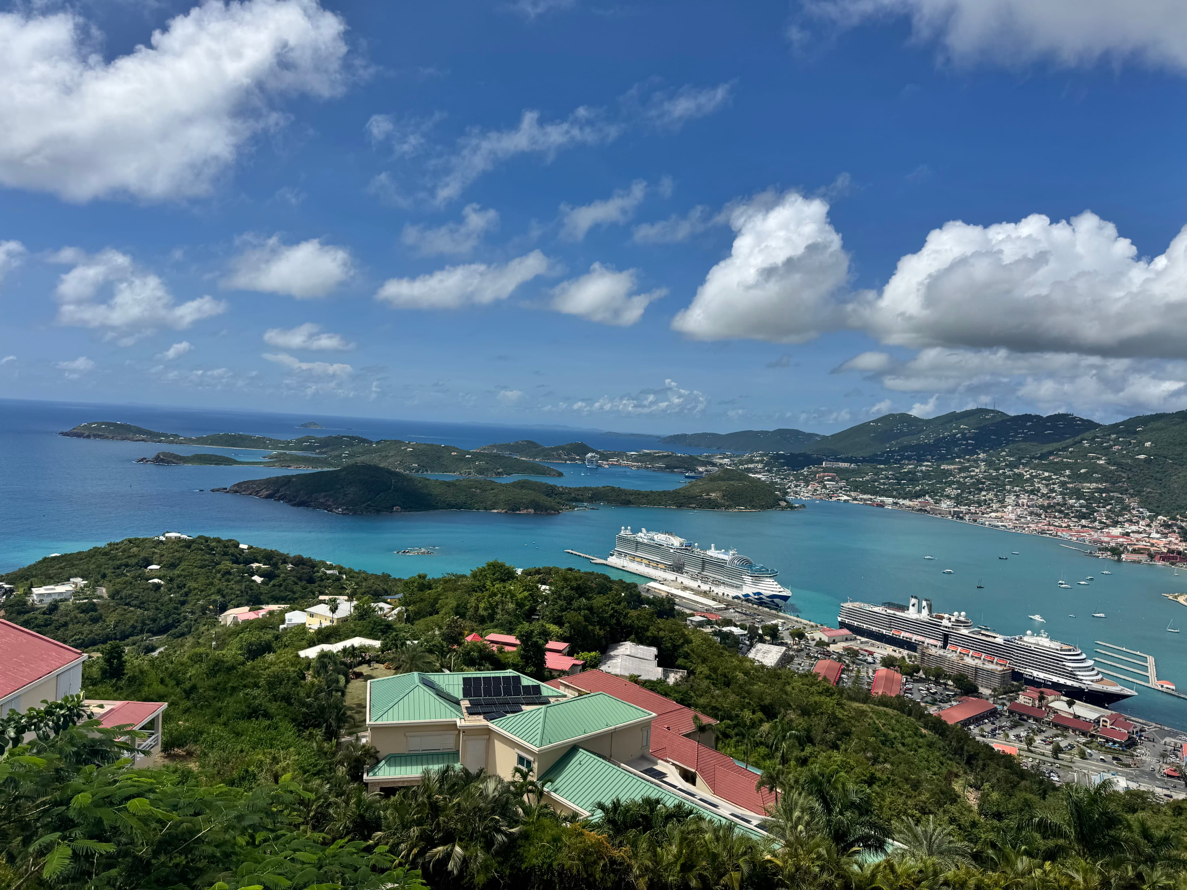 Royal Caribbean Icon of the Seas curated by David Hockenberry