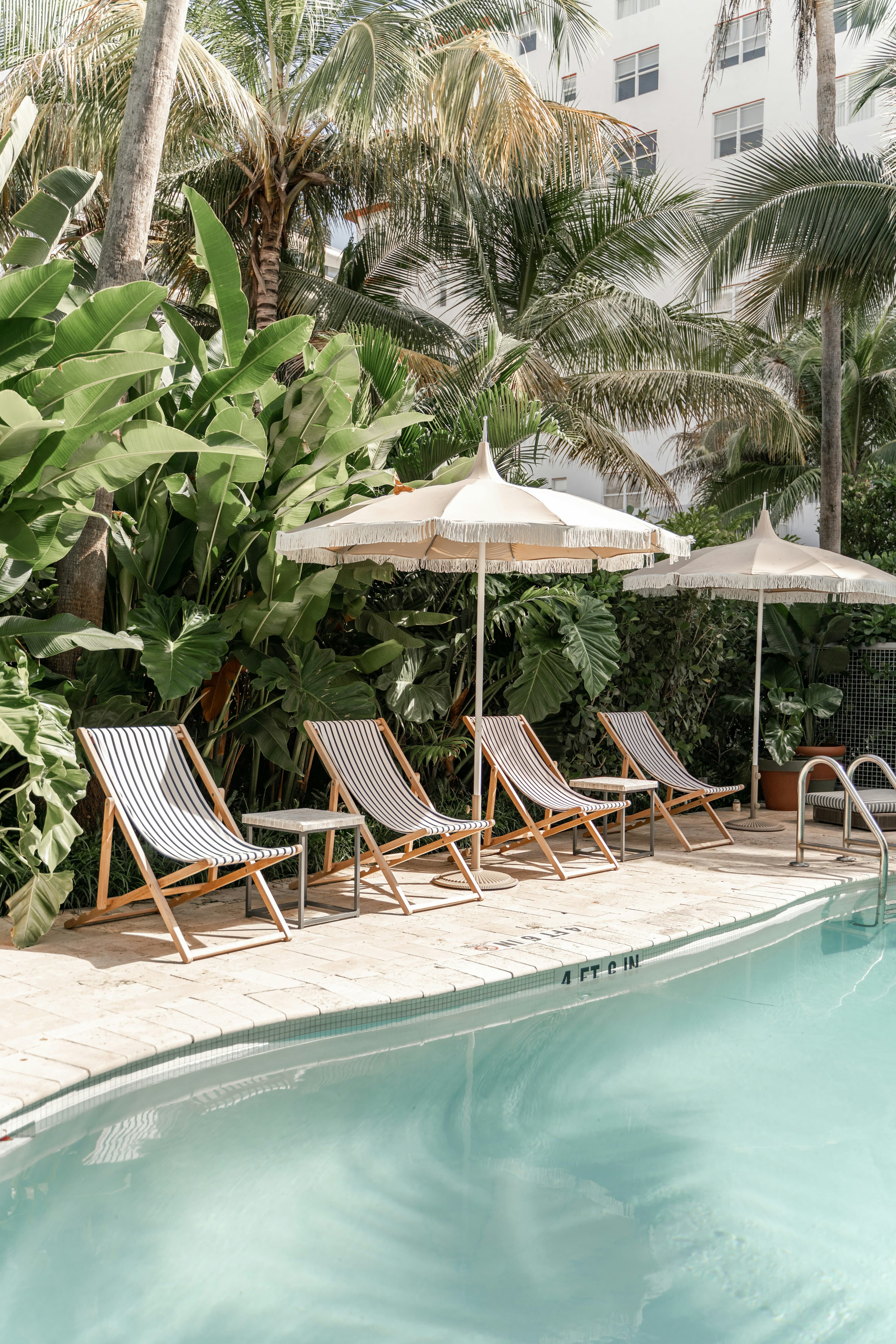 Miami Pre-Cruise Guide: Hotels, Dining & Tips curated by Katie Birkbeck