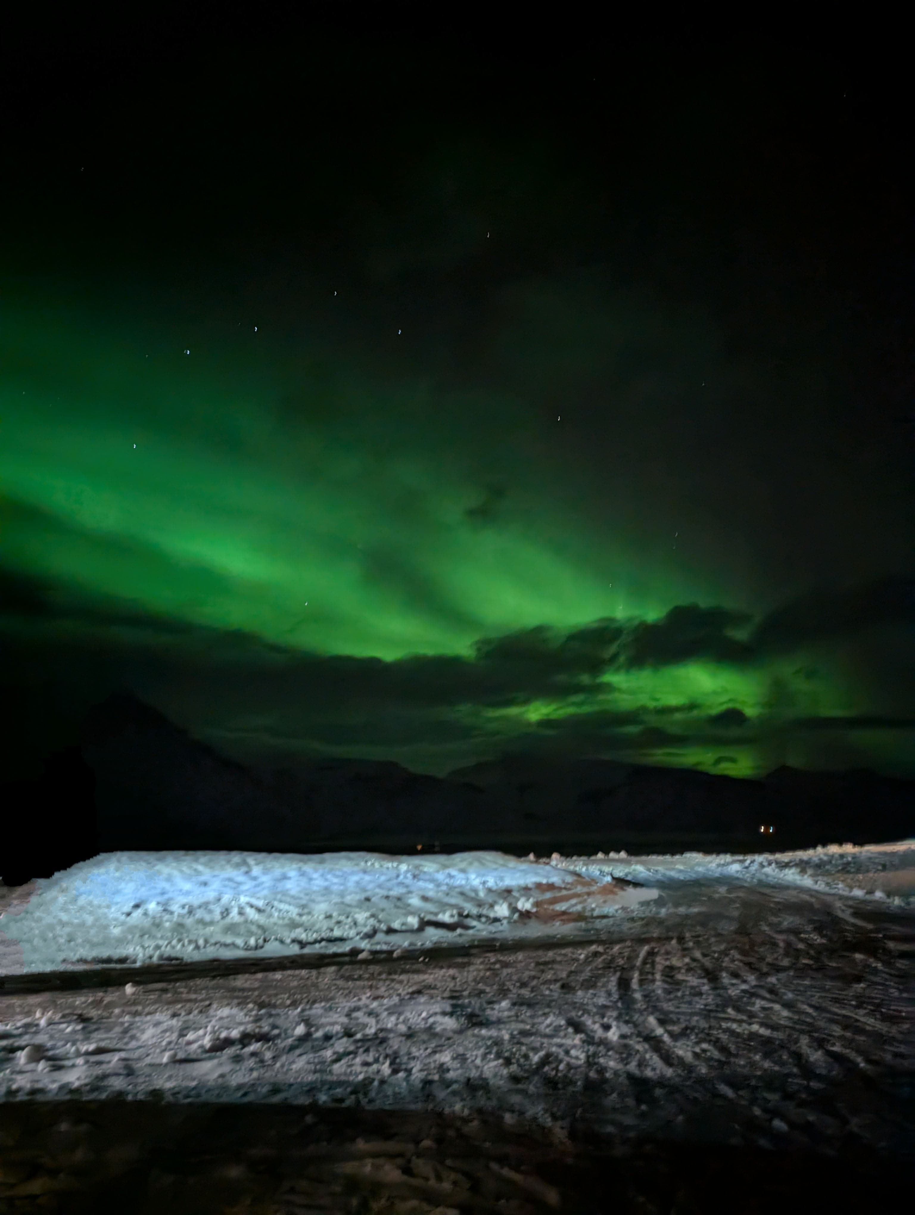 Traversing Winter in the Land of Fire and Ice curated by Holly Griffin