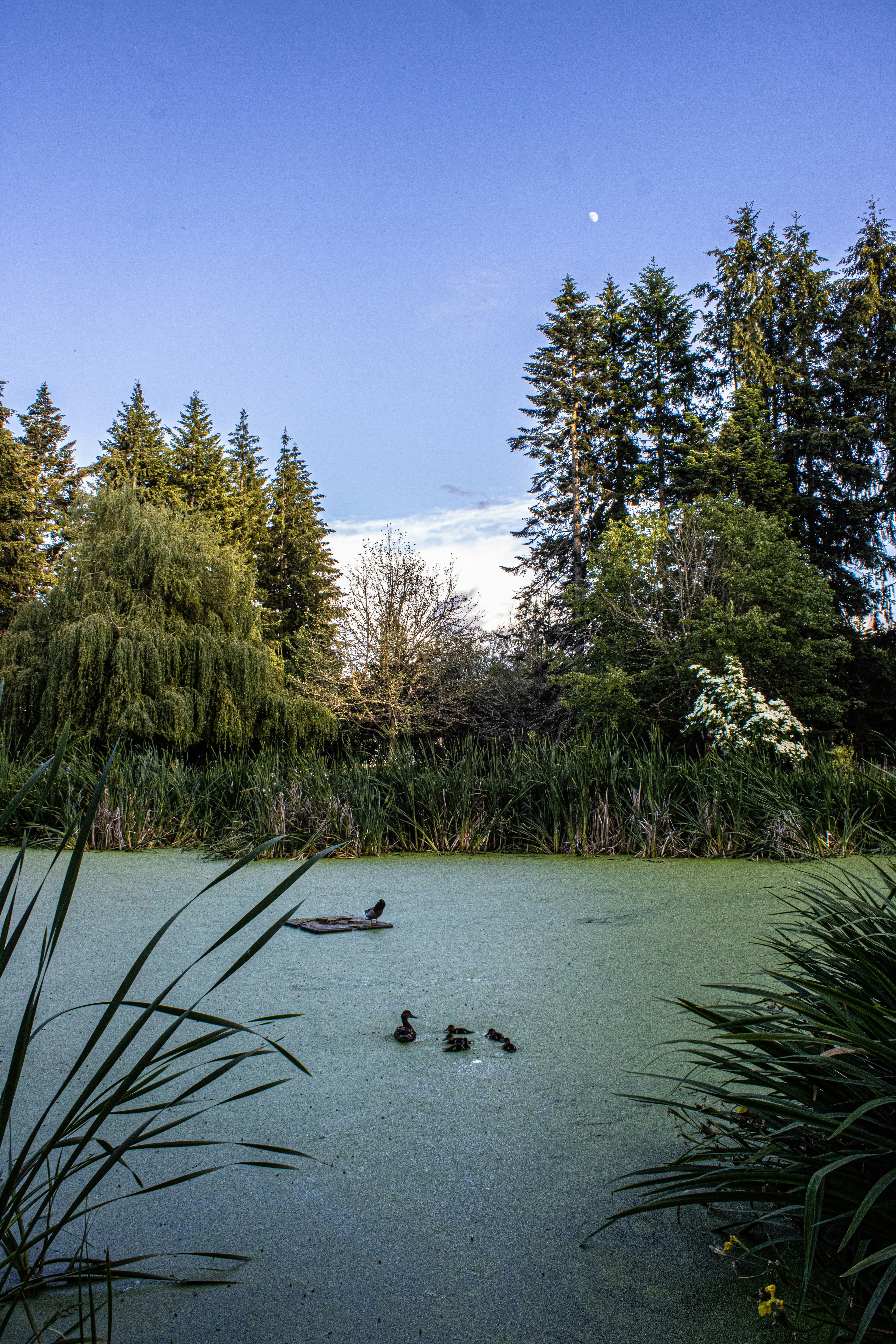 Brownsville, Texas: Beyond the Headlines of a South Texas Border Town curated by Bridgette Brashear