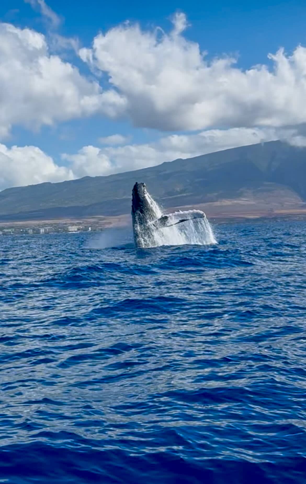 Lahaina Strong: Relax & Explore in Kaanapali, Maui curated by Deena Rose