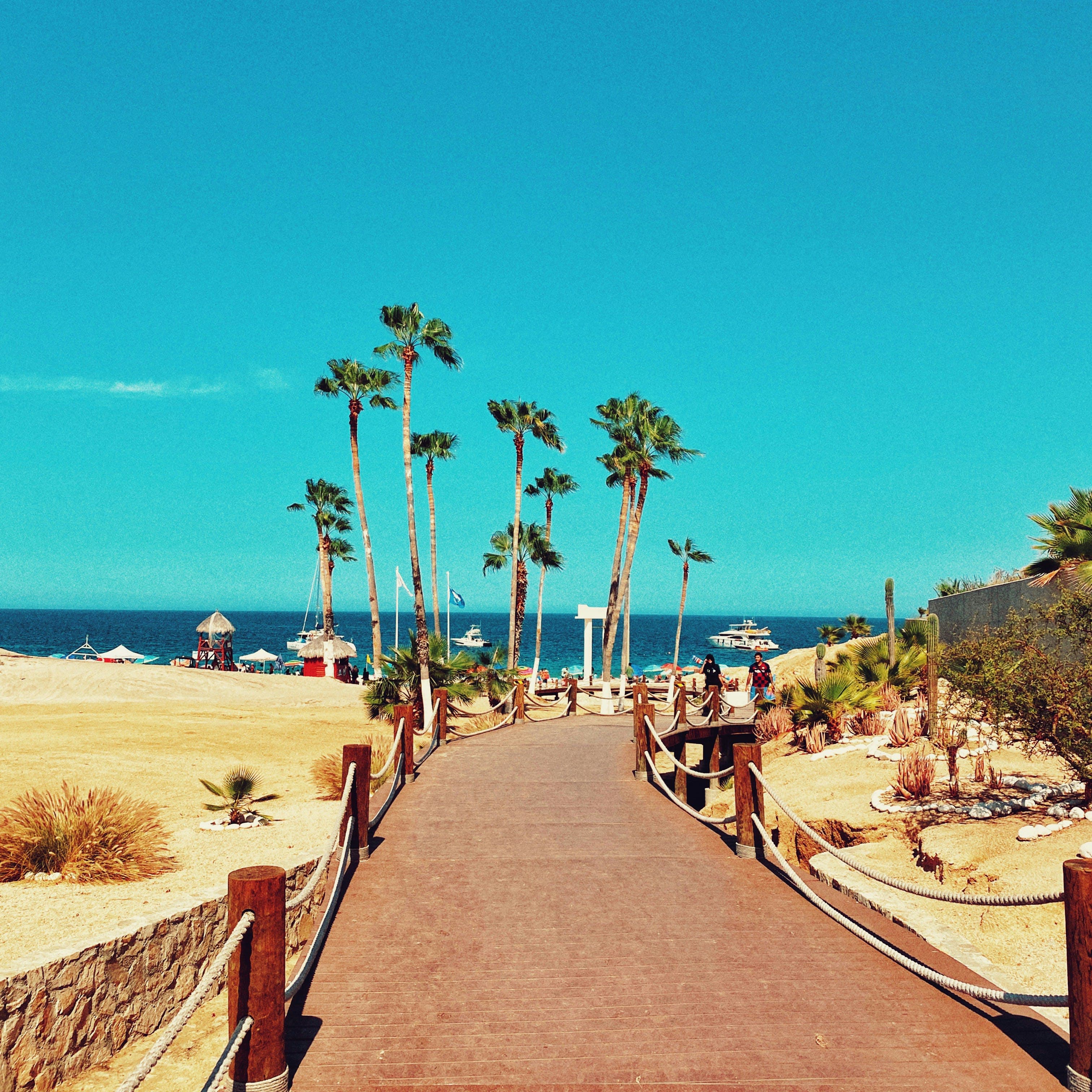 Relaxation and Indulgence: Basking in the Amenities of Le Blanc Spa Resort Los Cabos curated by Mckenzie Carbaugh
