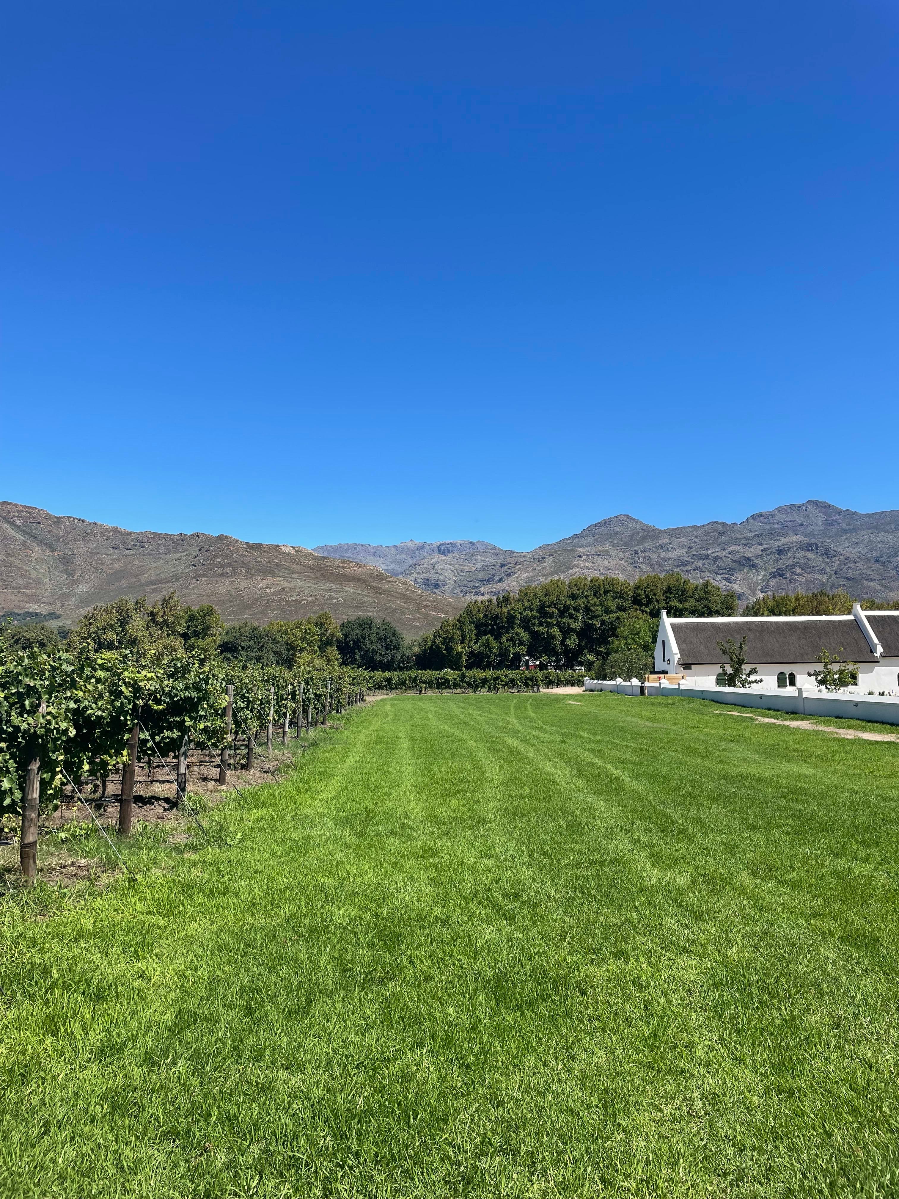 Uncorking Franschhoek: A Guide to South Africa’s Wine Region curated by Alexandra Ullrich
