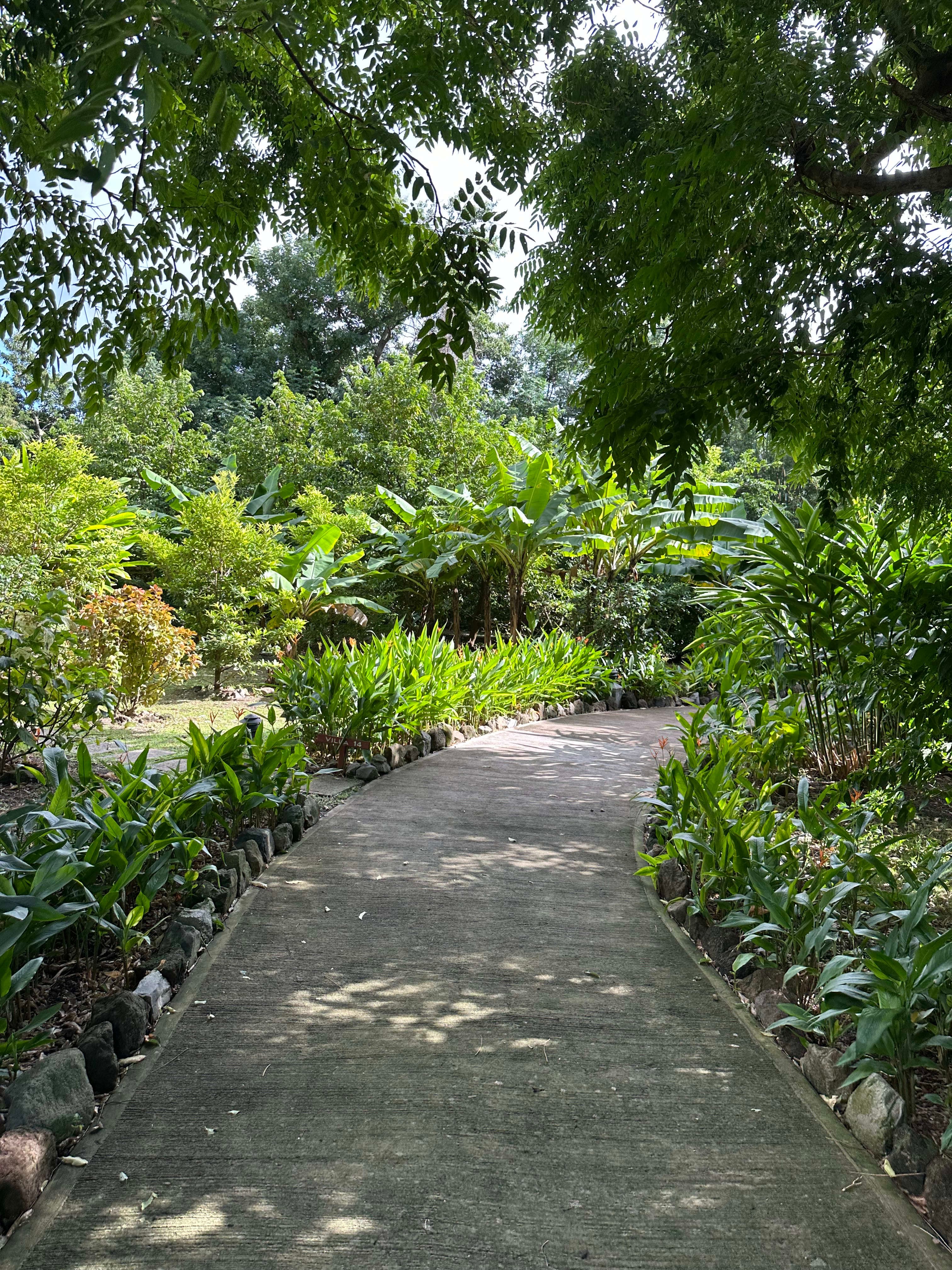 Unique Caribbean: The Nature Island curated by Tristan Butzen