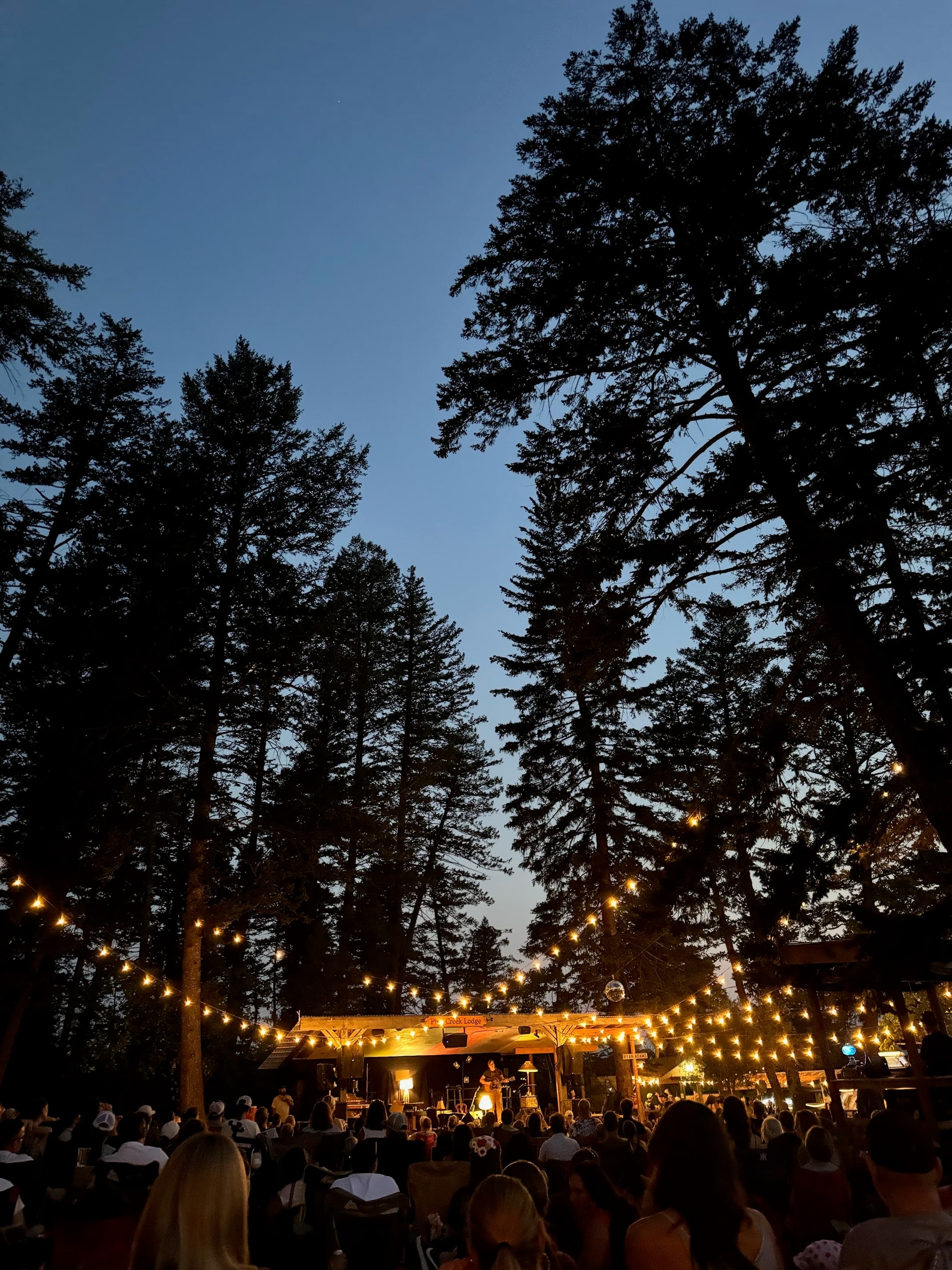 Luxury Under the Big Sky: Exploring Montana, Yellowstone & Jackson Hole curated by Tilghman Whitacre