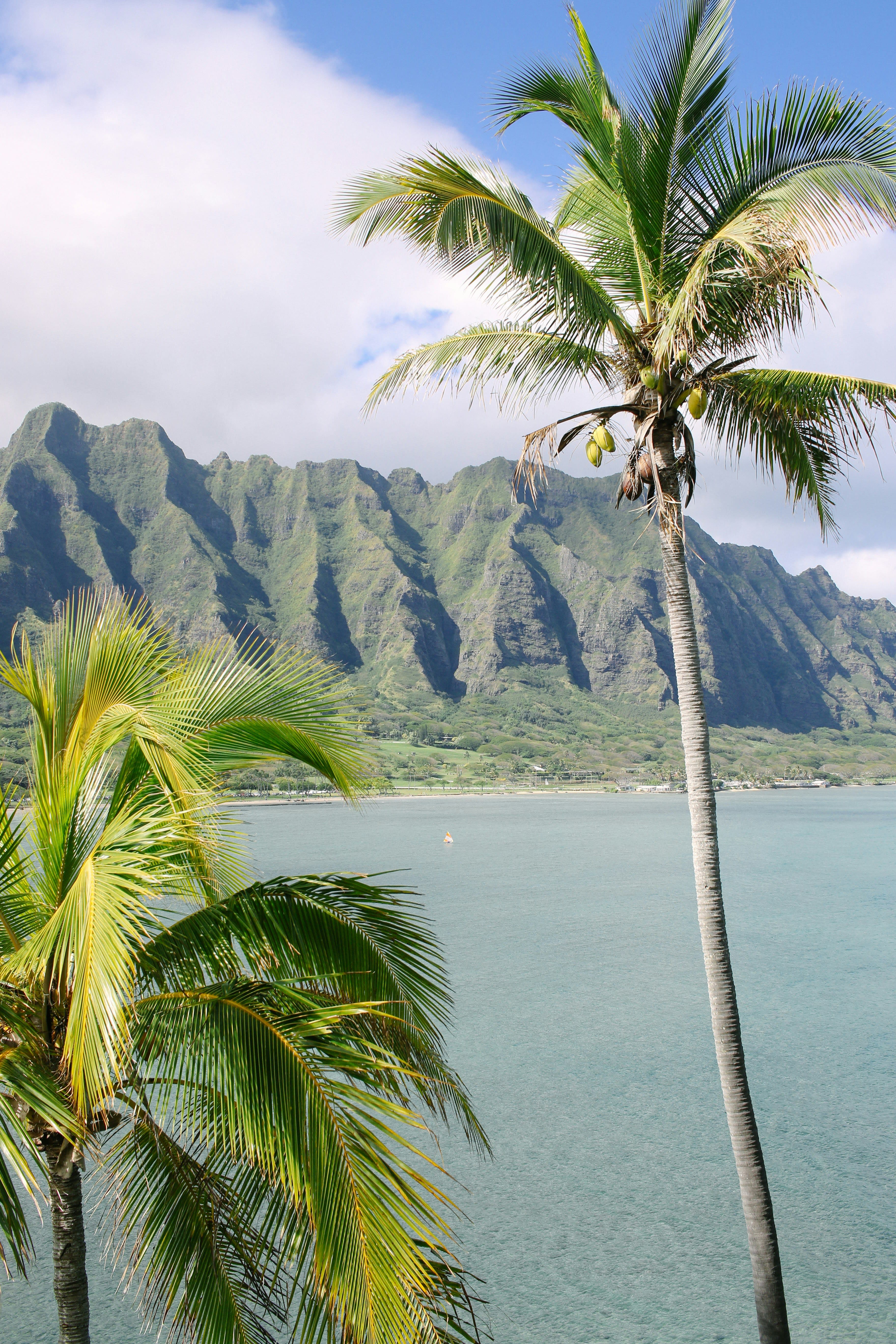 Oahu, the Hawaiian Island of Fun ~ Aloha curated by Quillen Minix