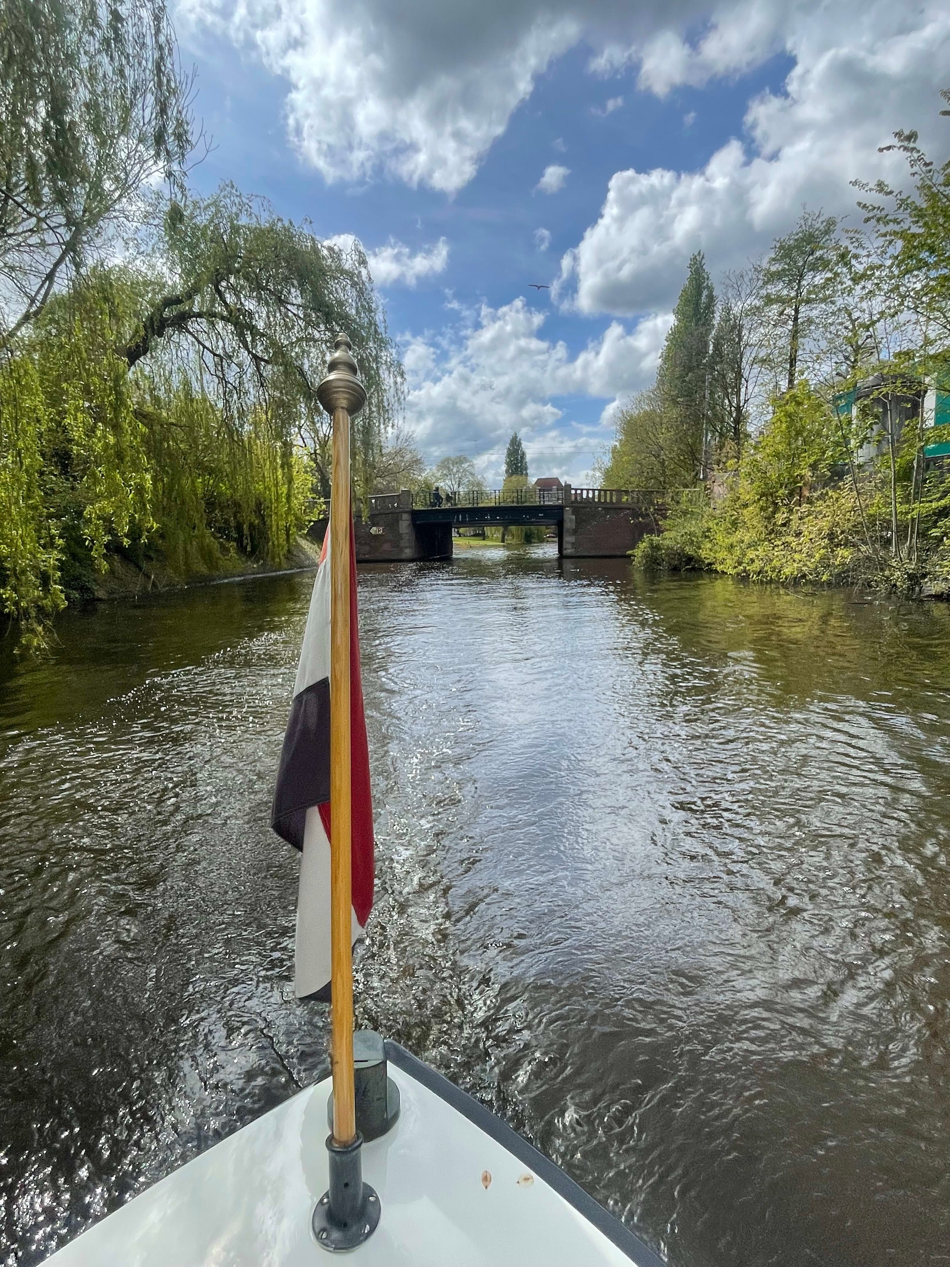 Tulip Season at Waldorf Astoria Amsterdam curated by Kathryn Brennan