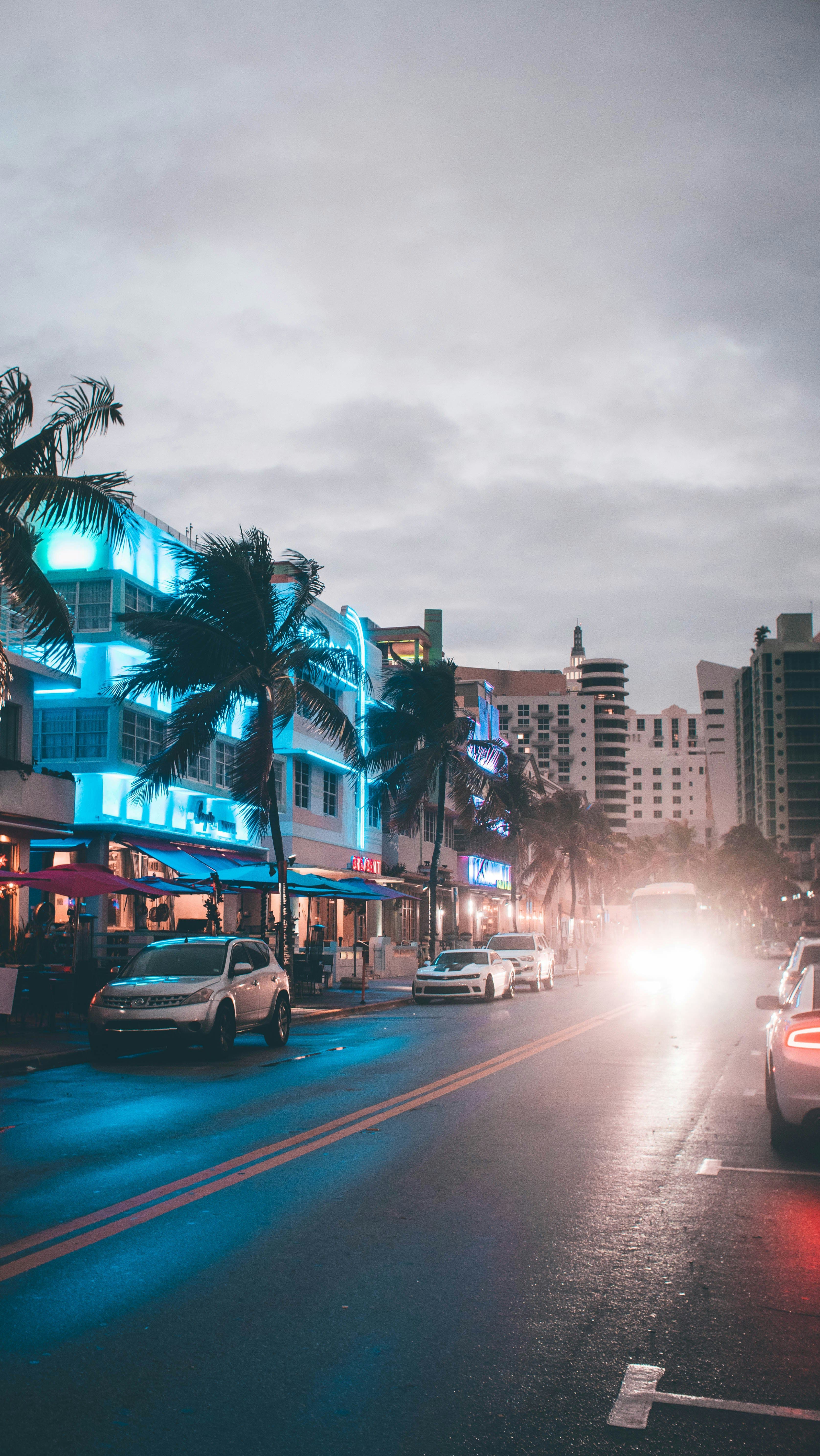 A Spoonie's Guide to Miami curated by Sally Riggs
