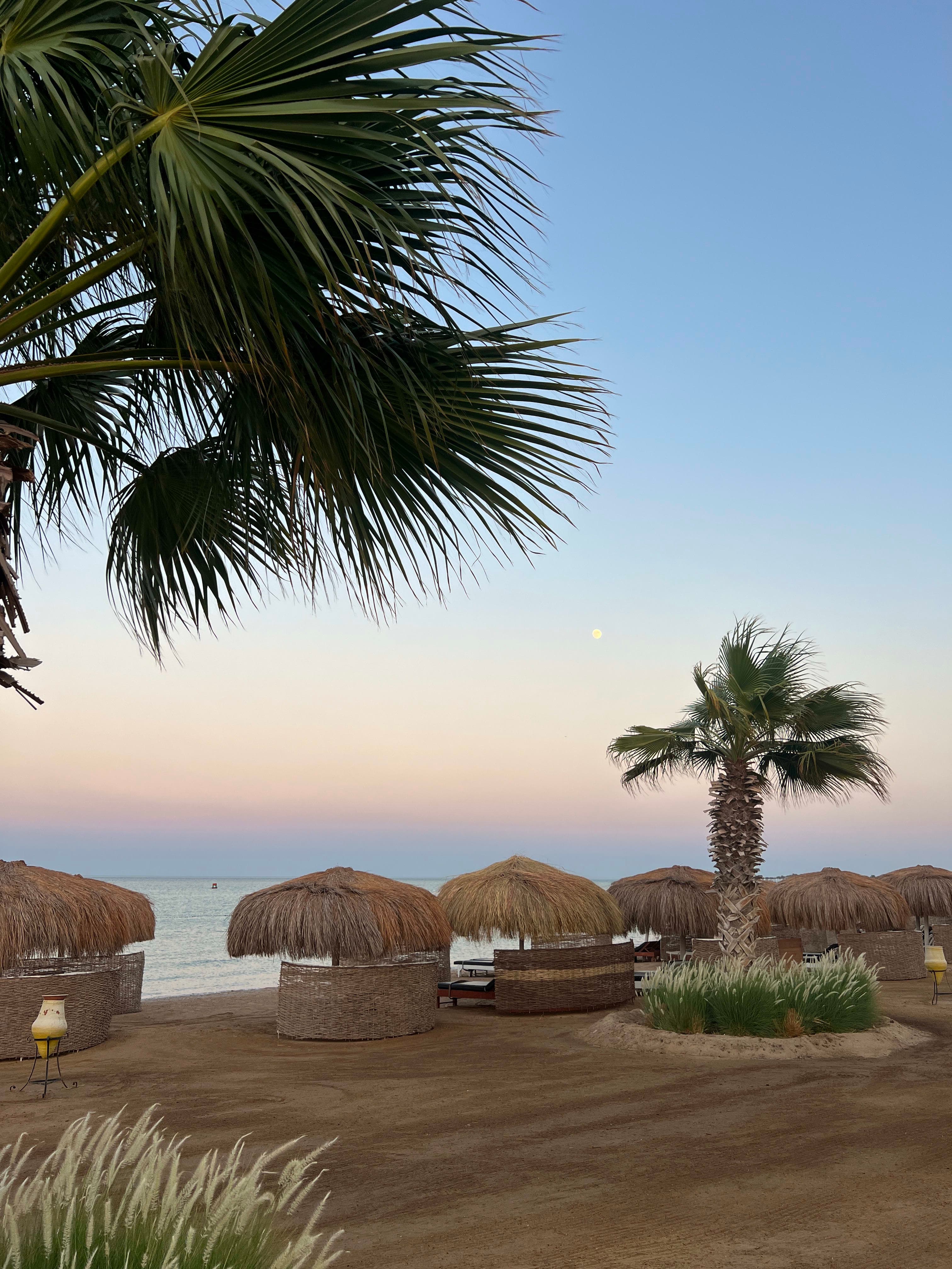 Journey Through Egypt’s Treasures as a Local Would: Ten-Day Itinerary curated by Karima Ragab