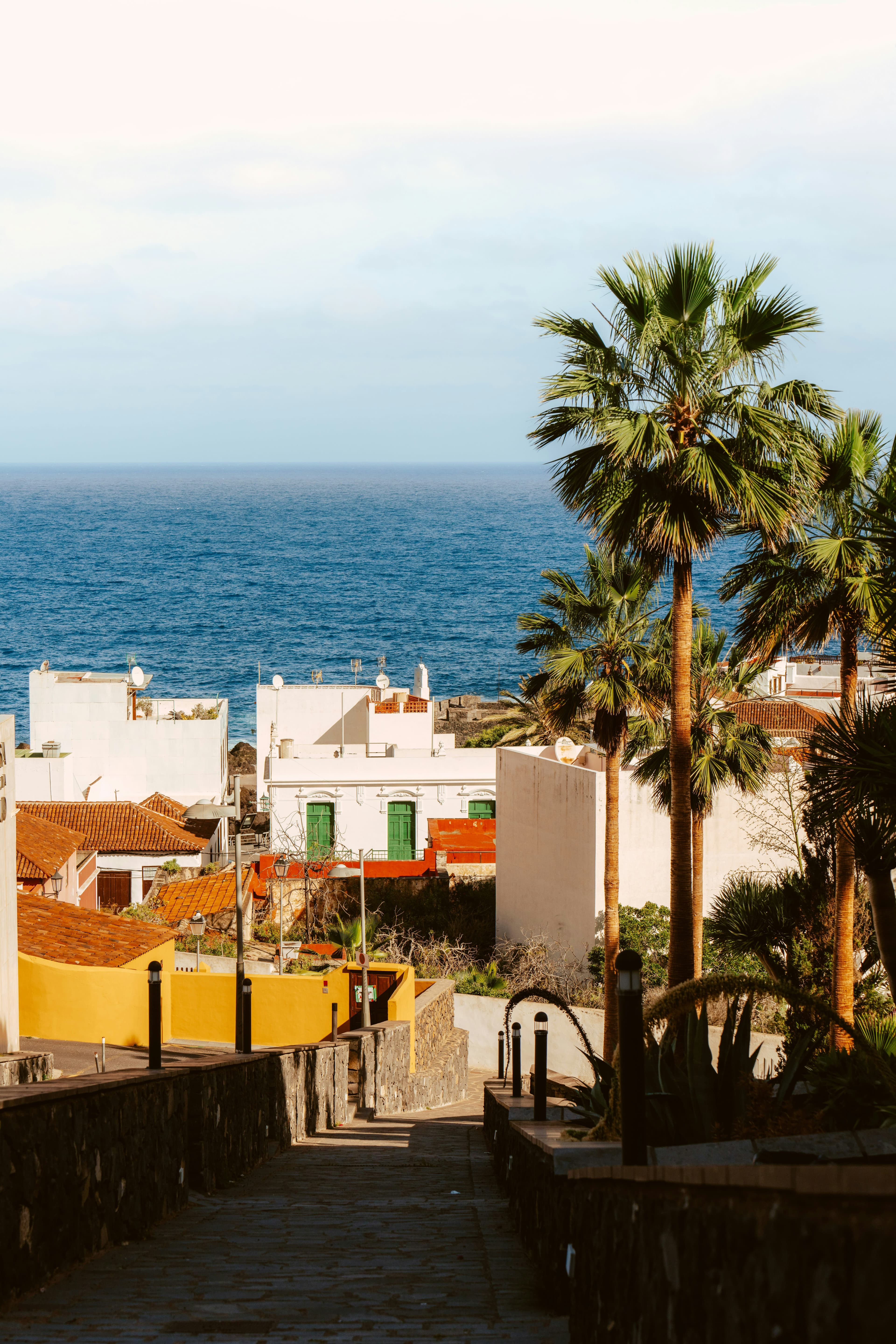 24 Hours in Tenerife curated by Rebekah Smith