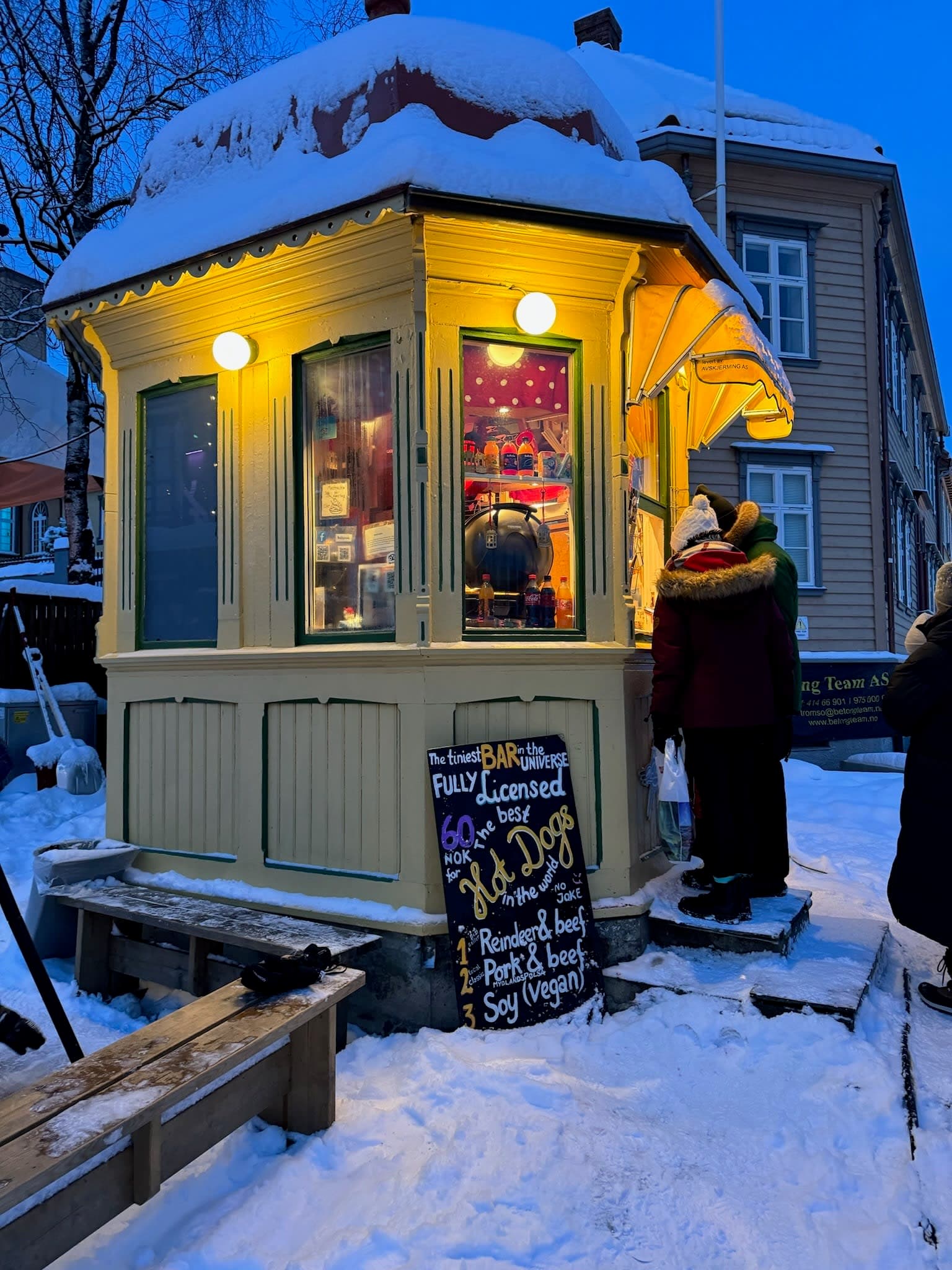 Exploring Polar Night Above the Arctic Circle curated by Olivia Morgan