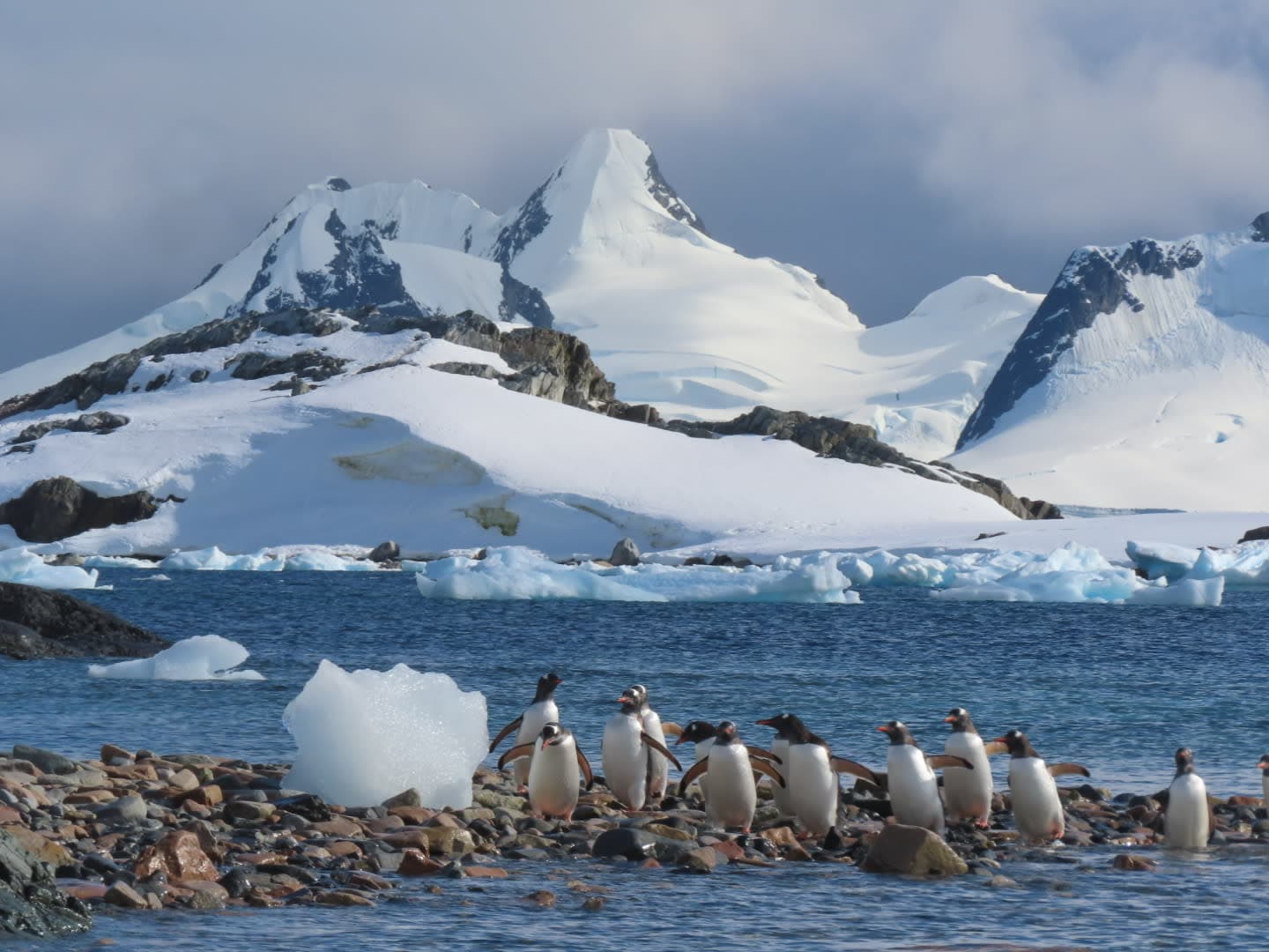 Dreaming Of Antarctica? Here’s Everything You Need To Know! curated by Mei-Mei Kirk