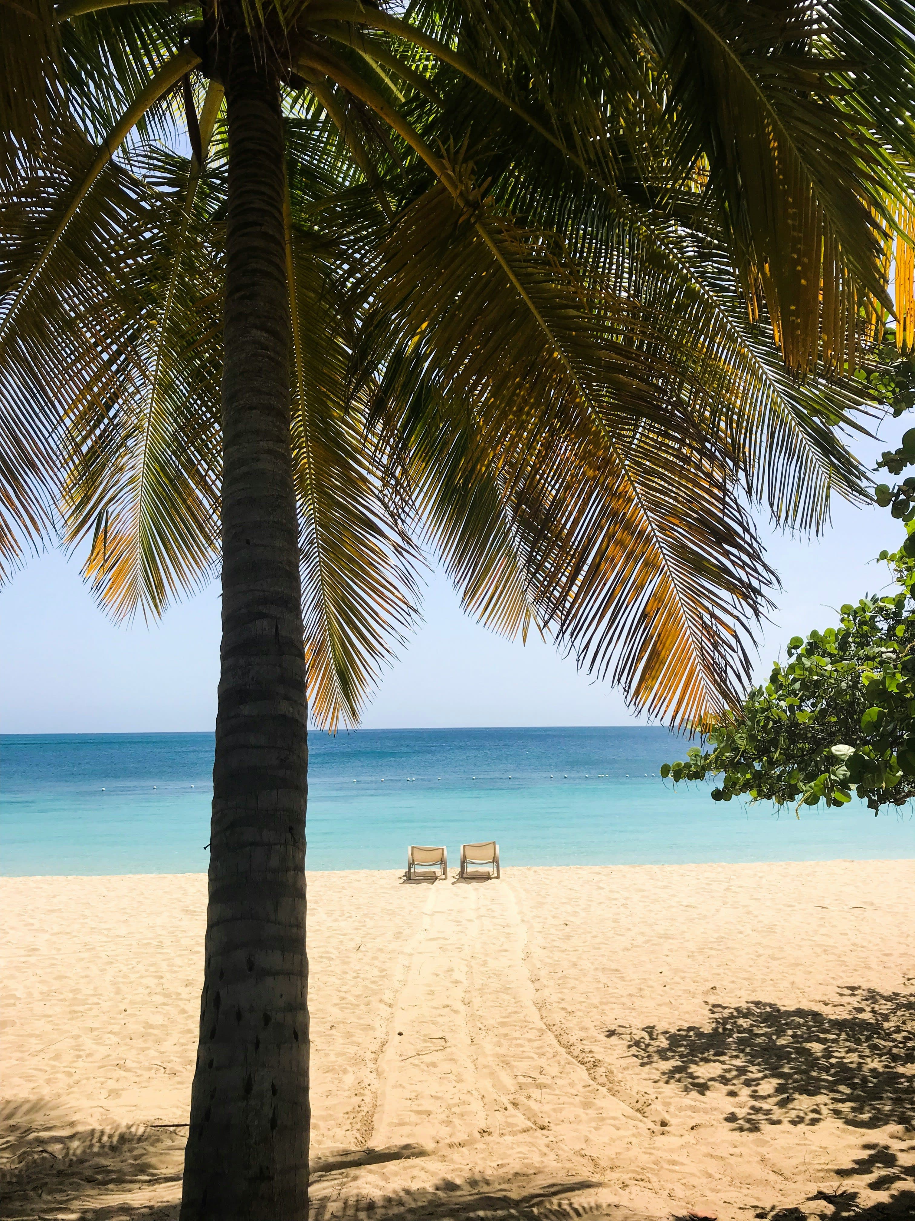 Burnt Out & Barefoot: Our Escape to St. Thomas curated by Janice Nearenbell