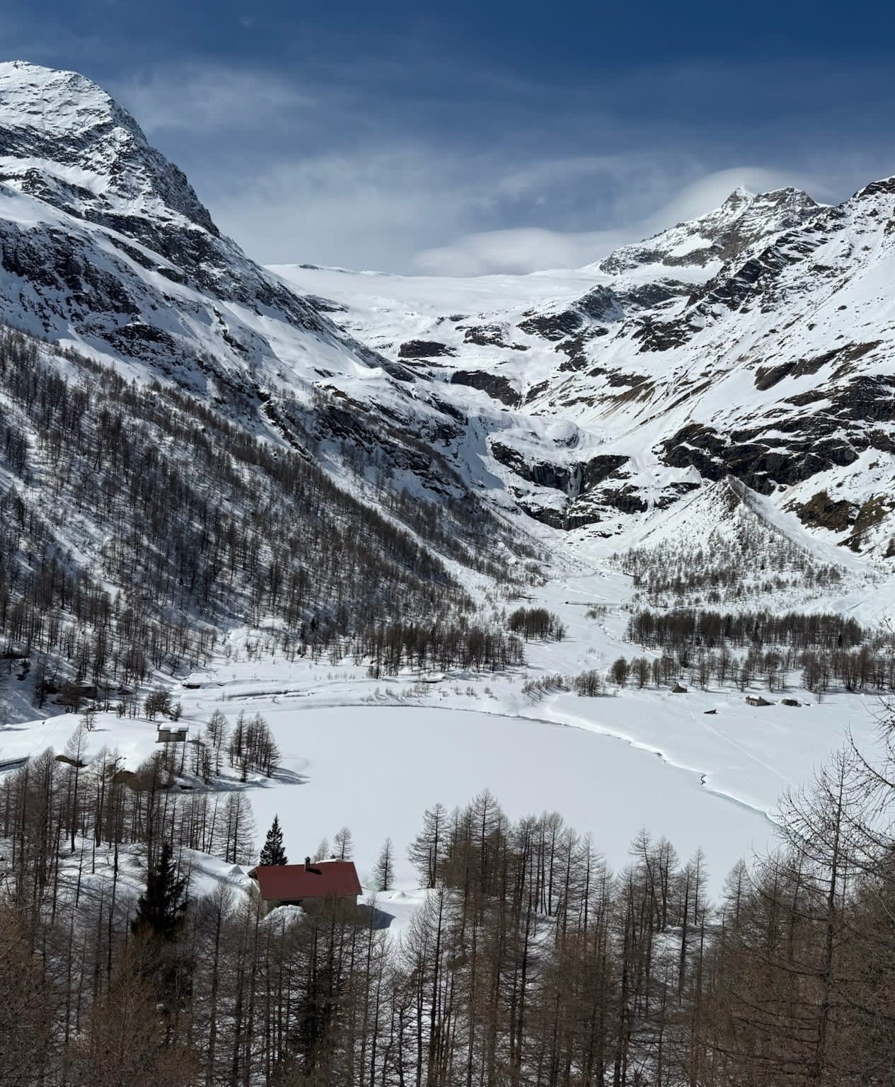 All Aboard the Bucket List Swiss Alps Train: The Legendary Bernina Express curated by Michele Rhudy