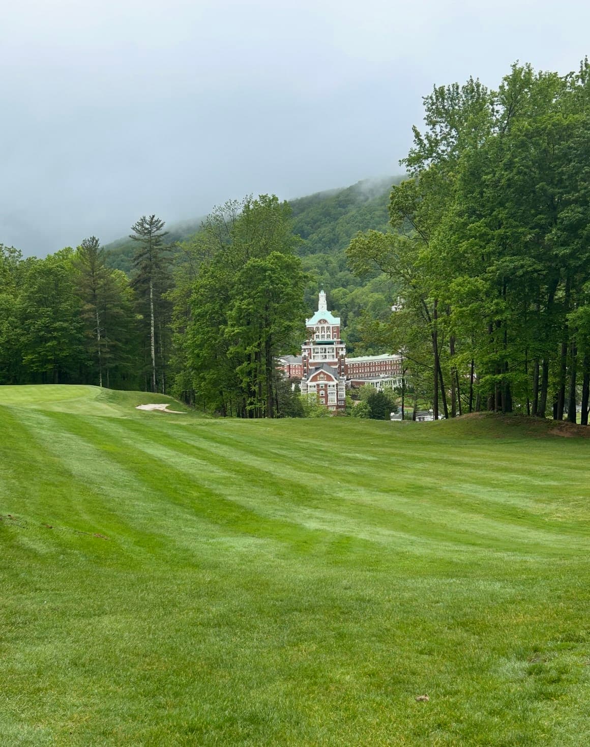 Endless Amounts of Fun at the Homestead curated by Carleigh Brown