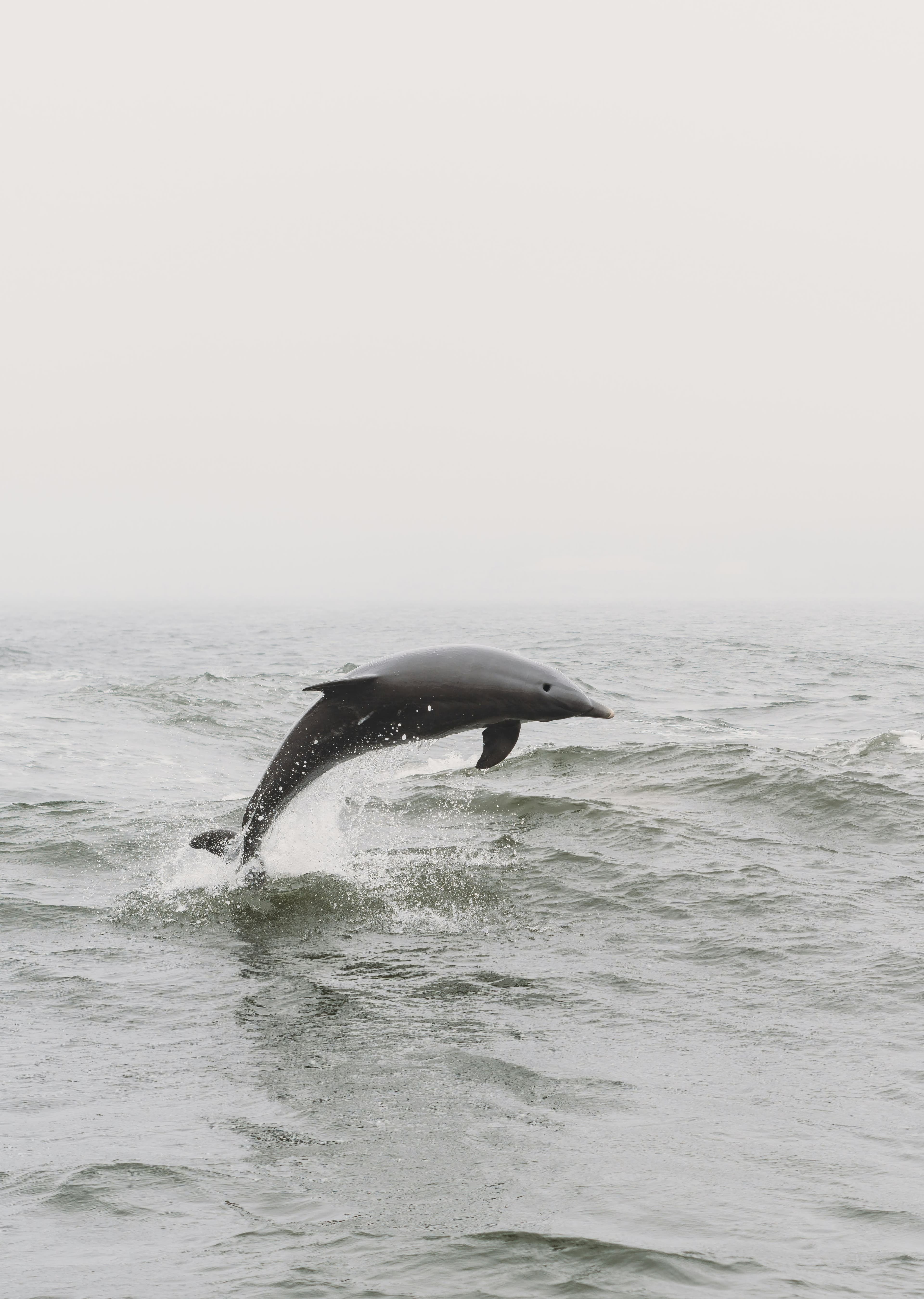 Family Vacation Guide to Orange Beach, Alabama curated by Kristin Helm