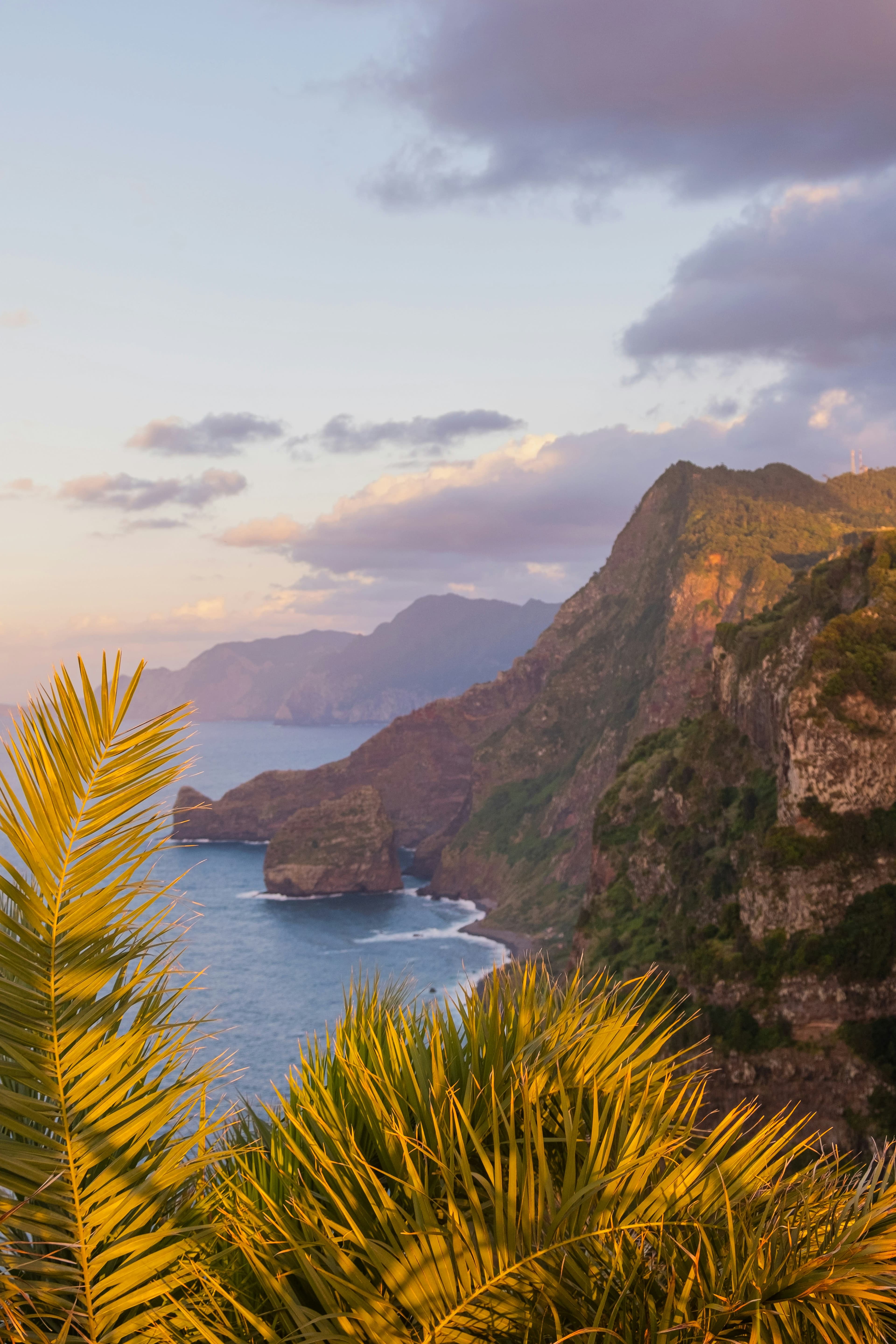 Madeira Magic: A Luxe Stay at Hotel Riu Madeira curated by Meghan Spezzano