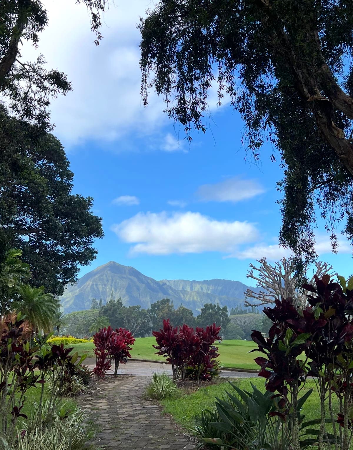 A Guide to Kaua'i from a Mainland Local curated by Jackie Pulice