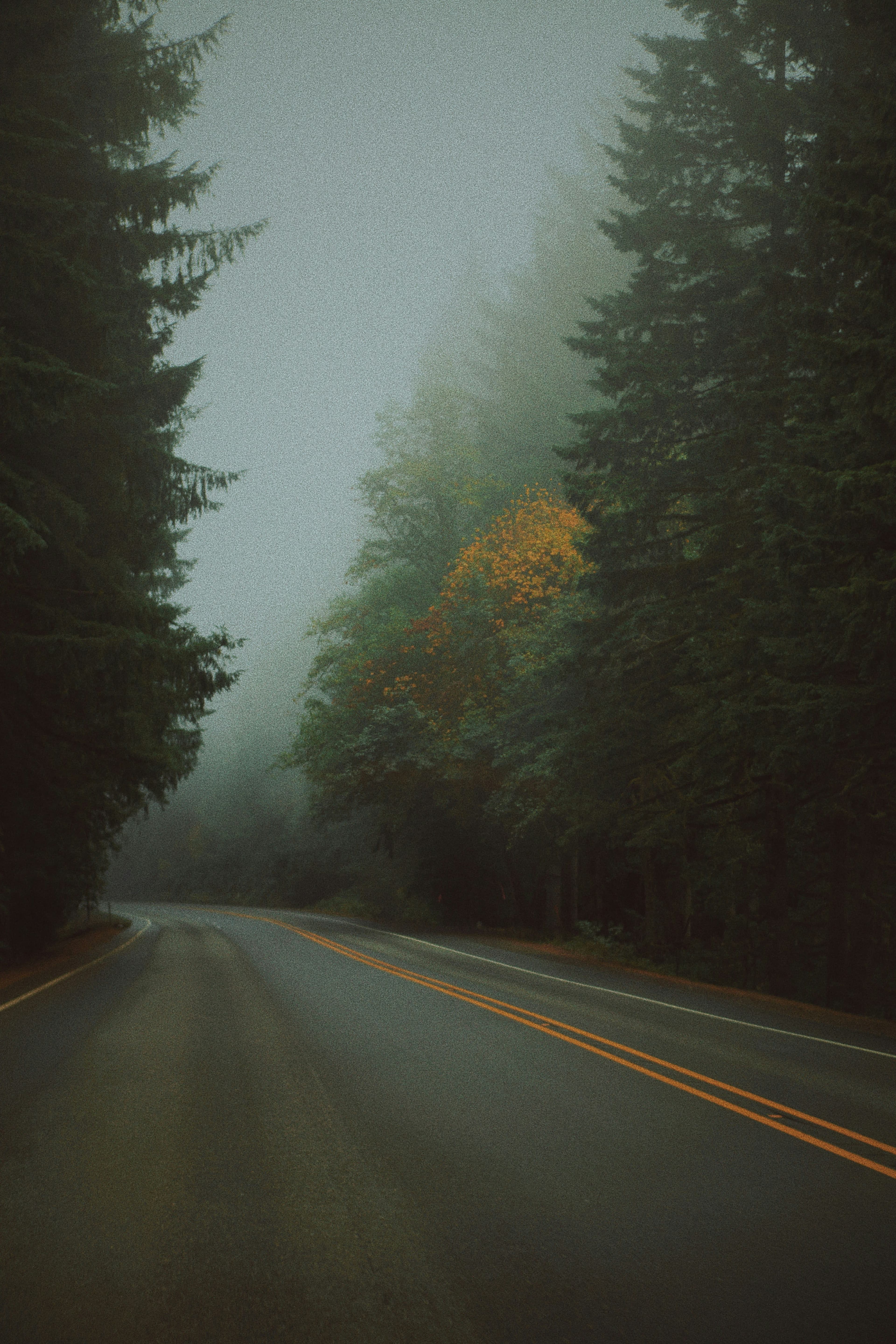 Fall for Portland: An Autumn PNW Weekend Getaway curated by Ryan Shelly