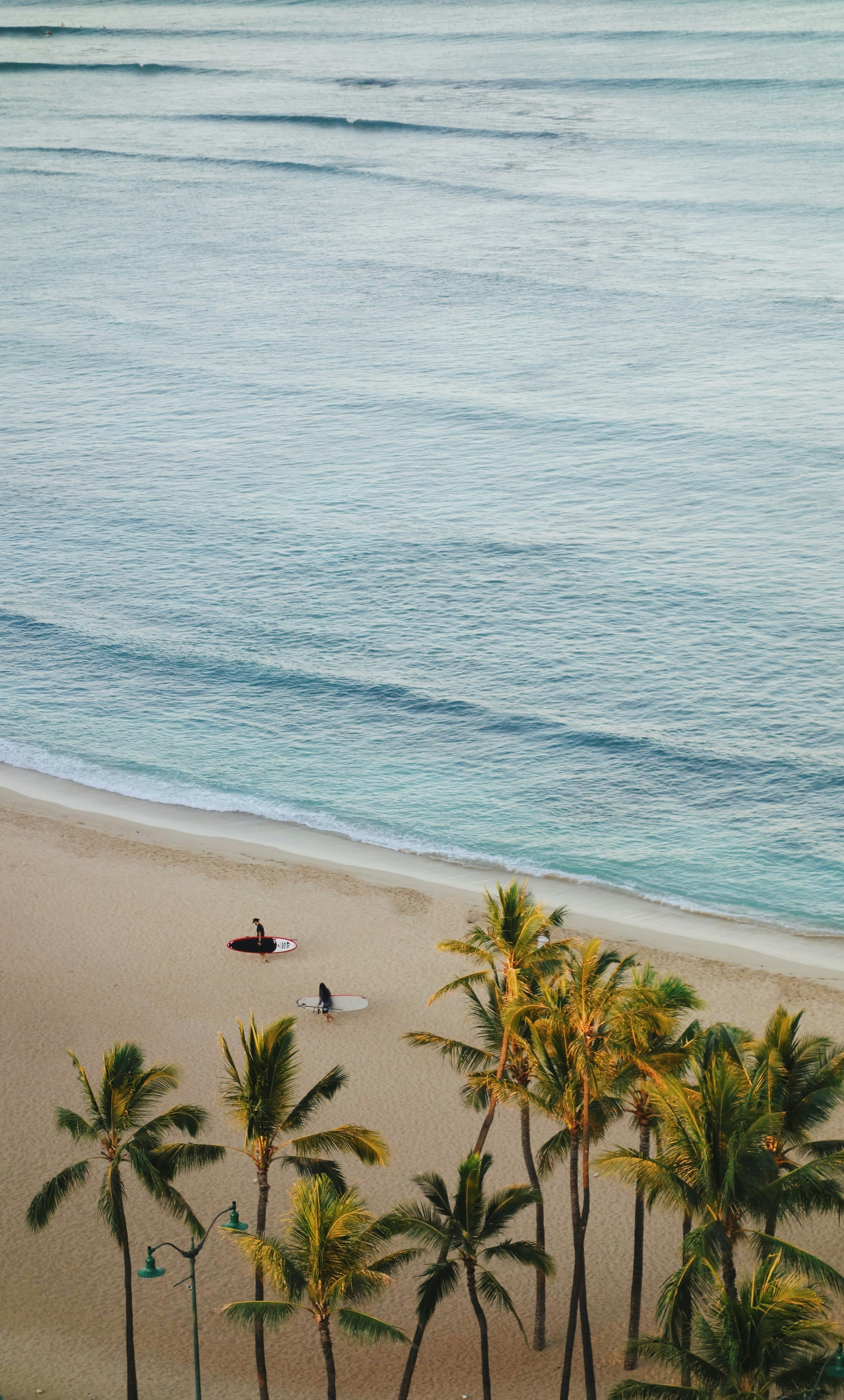Hawaiian Honeymoon Happiness curated by Marisa Bruno