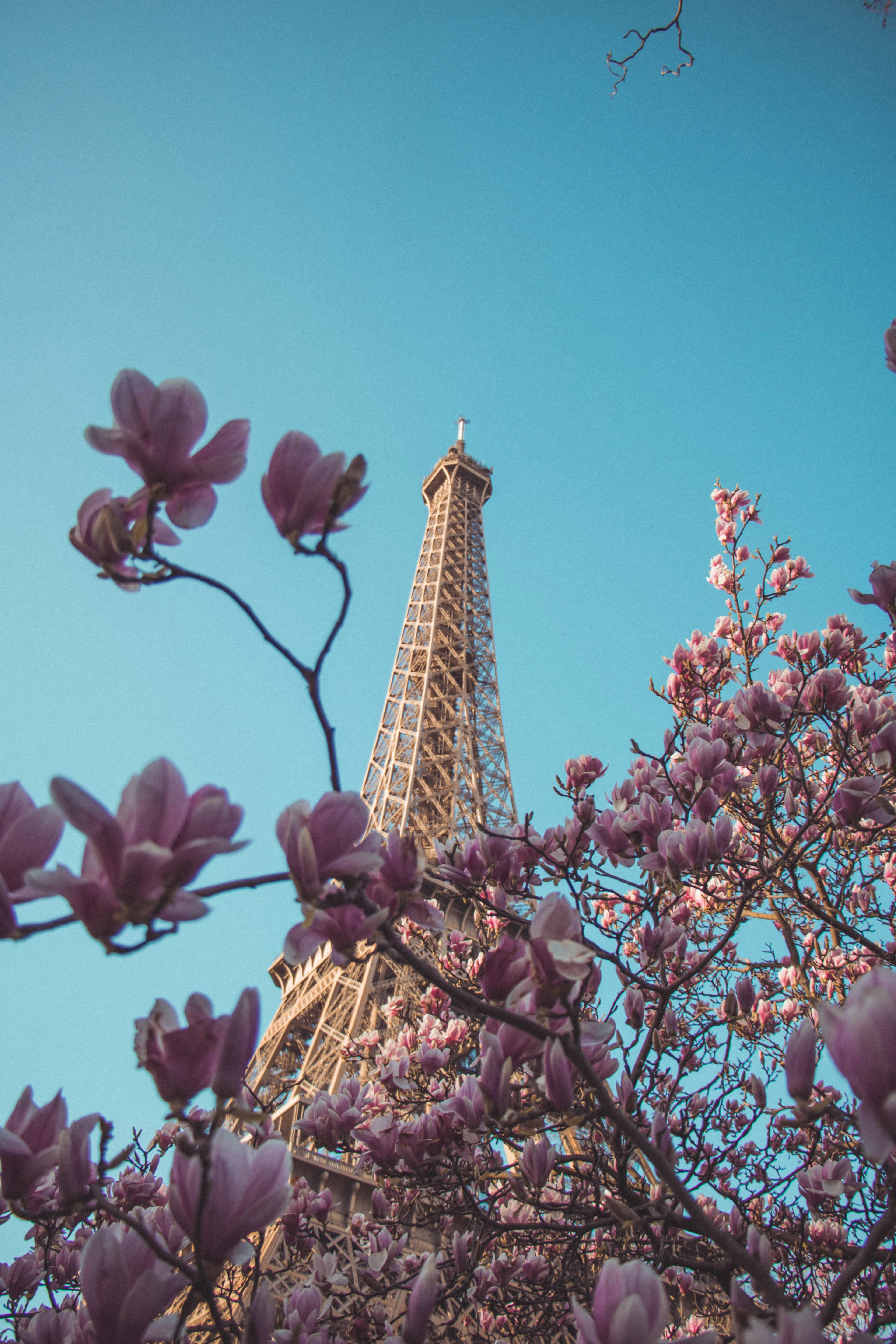 The Ultimate 3-Day Paris Itinerary for First-Time Visitors curated by Petya Kalendzhieva