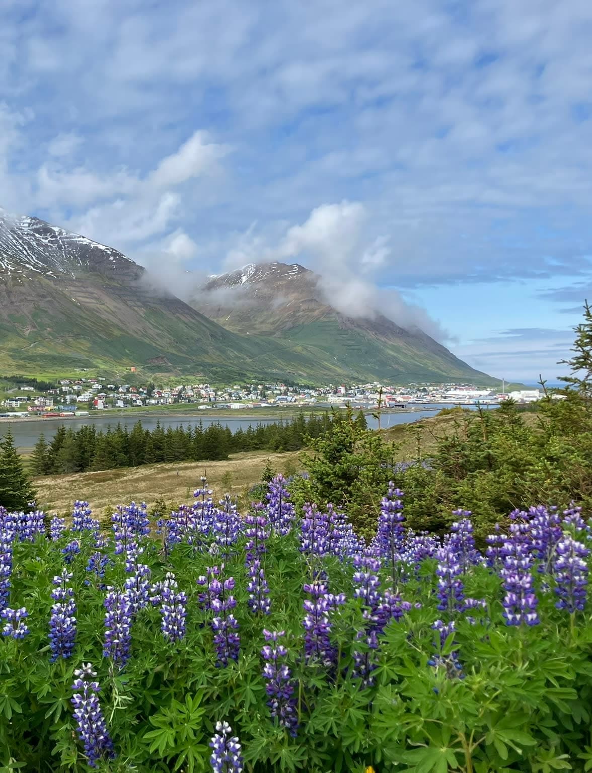 Iceland Beyond Reykjavik curated by John Kivett