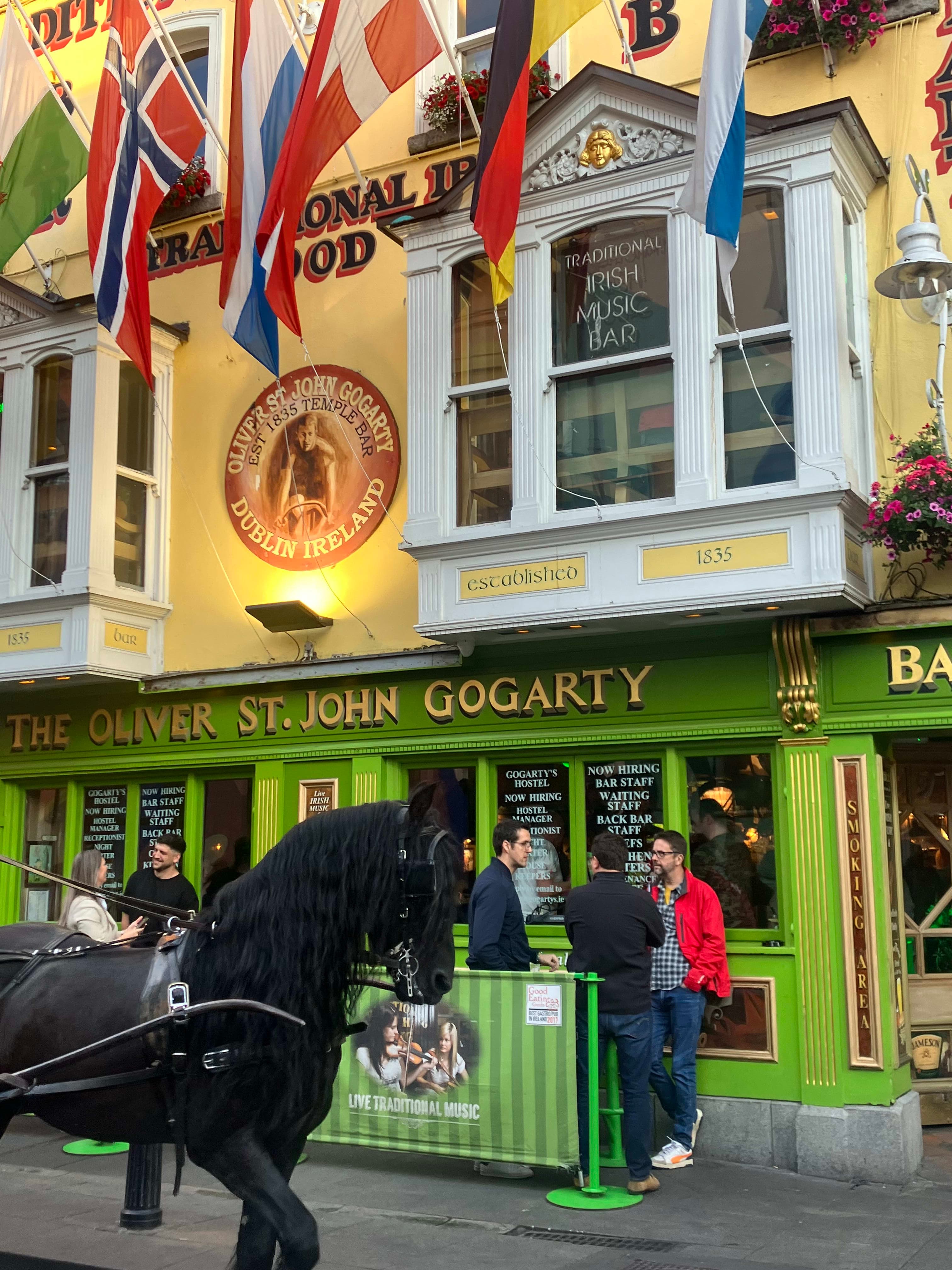 Green Be the Grass: A Guide to Dublin (& Irish Day Trips) curated by Eva Dilmanian