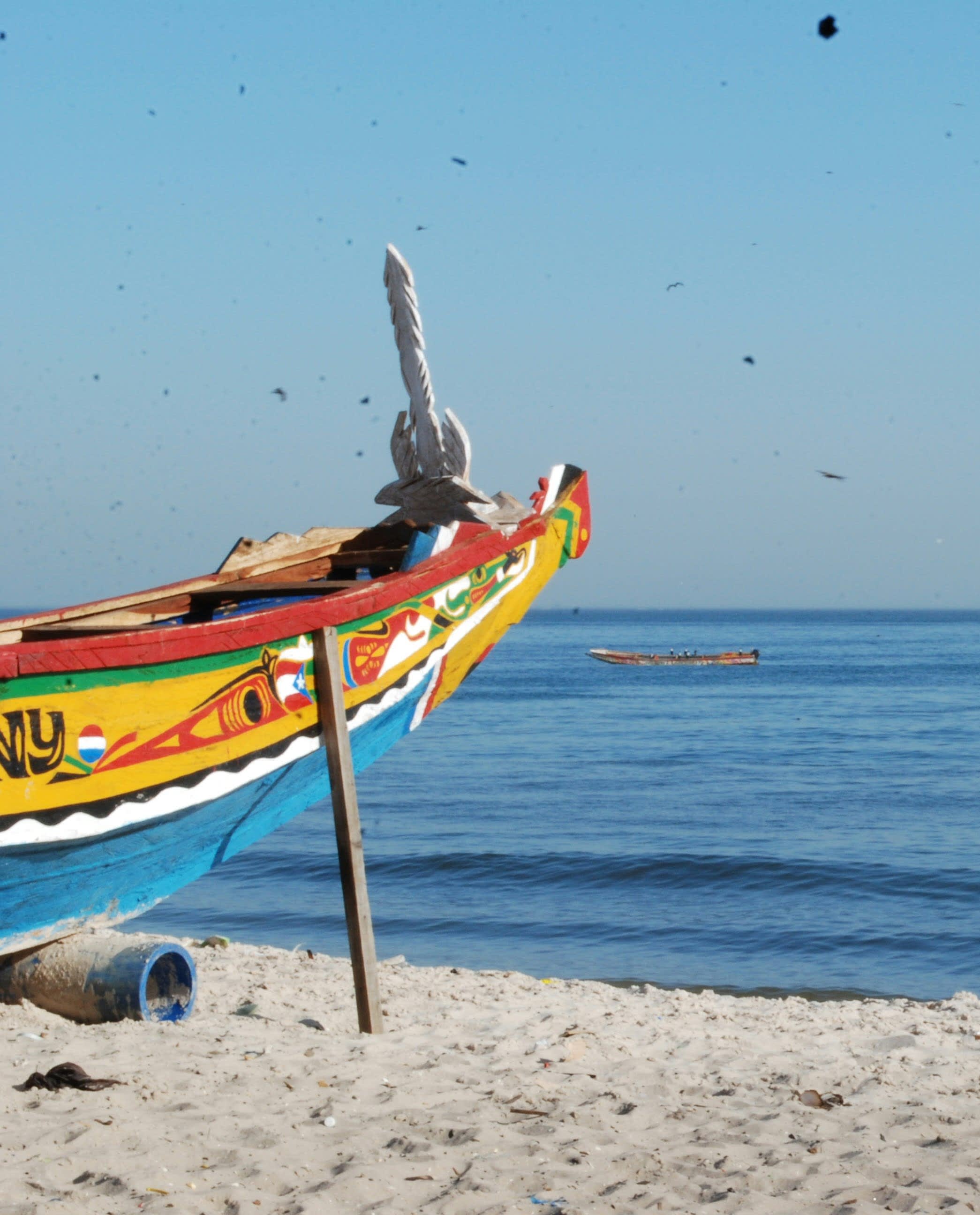 Exploring Senegal: The Best Regions to Visit curated by Elizabeth Jones