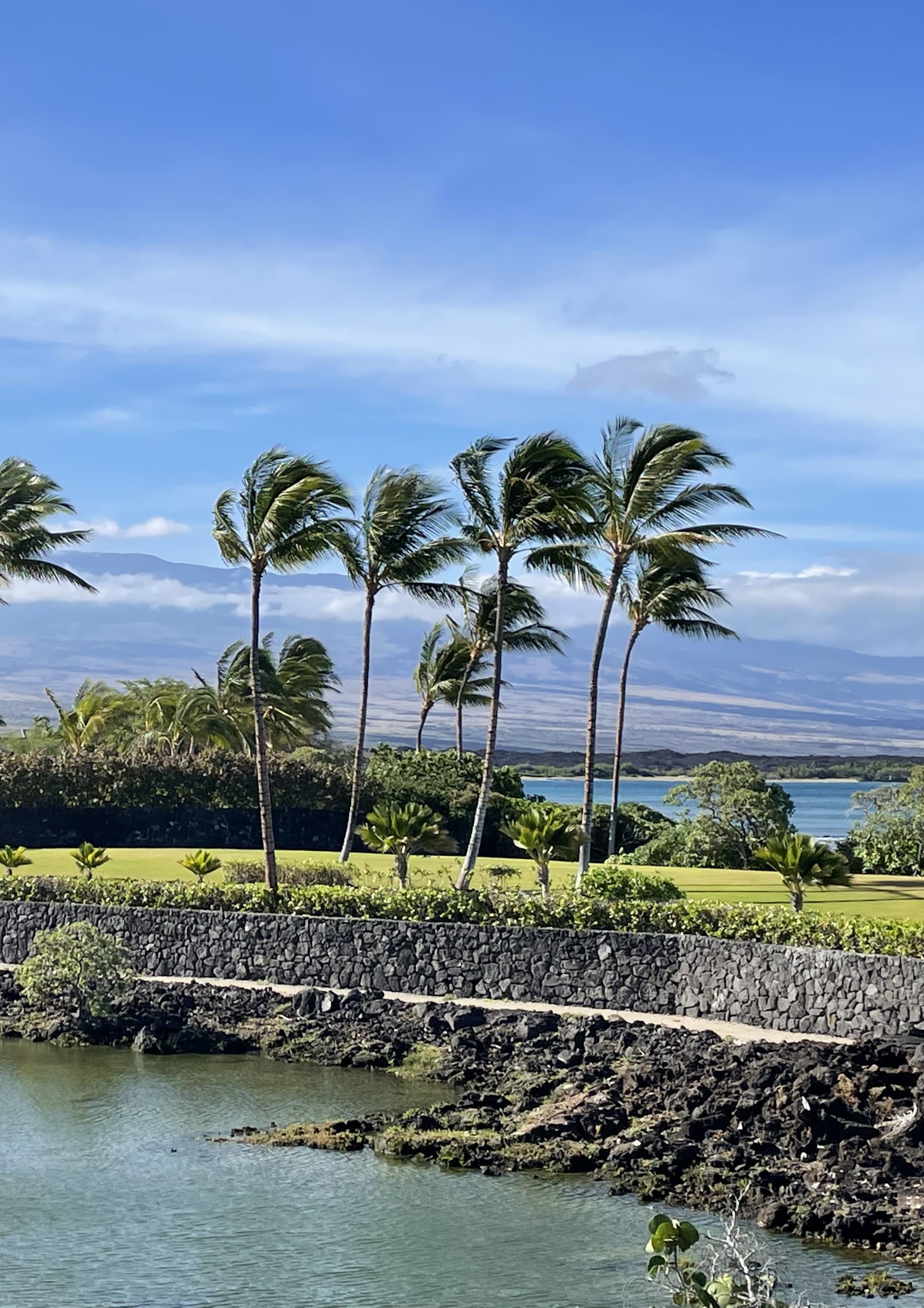 Our Honeymoon Road Trip Around the Big Island, Hawai'i curated by Rosa Nelson