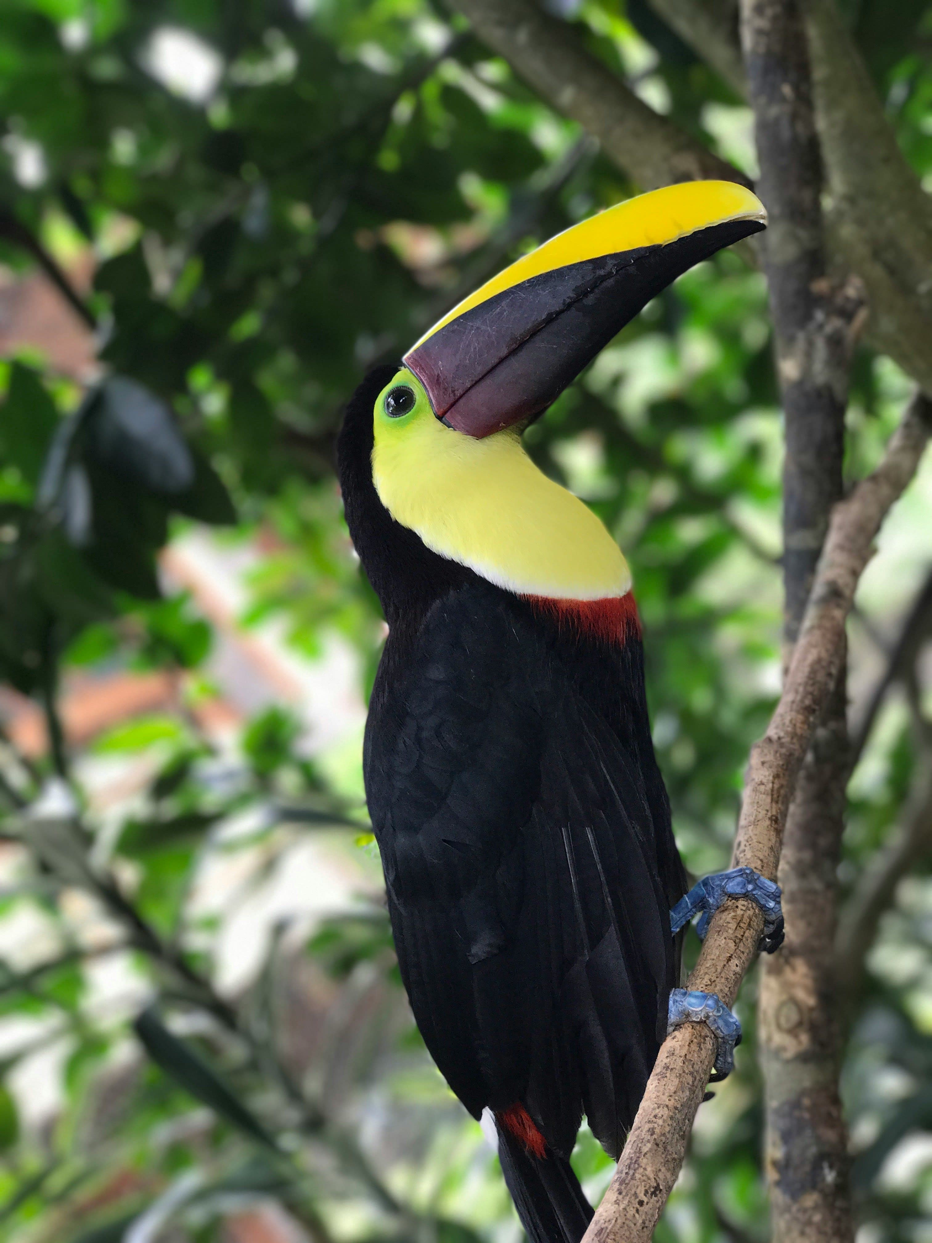 Sightseeing & Adventure in Costa Rica curated by Stephen Walker