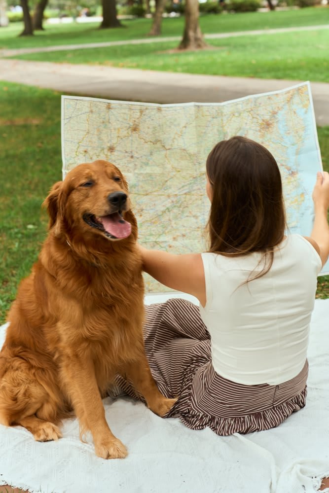 Fora - Why book with Fora