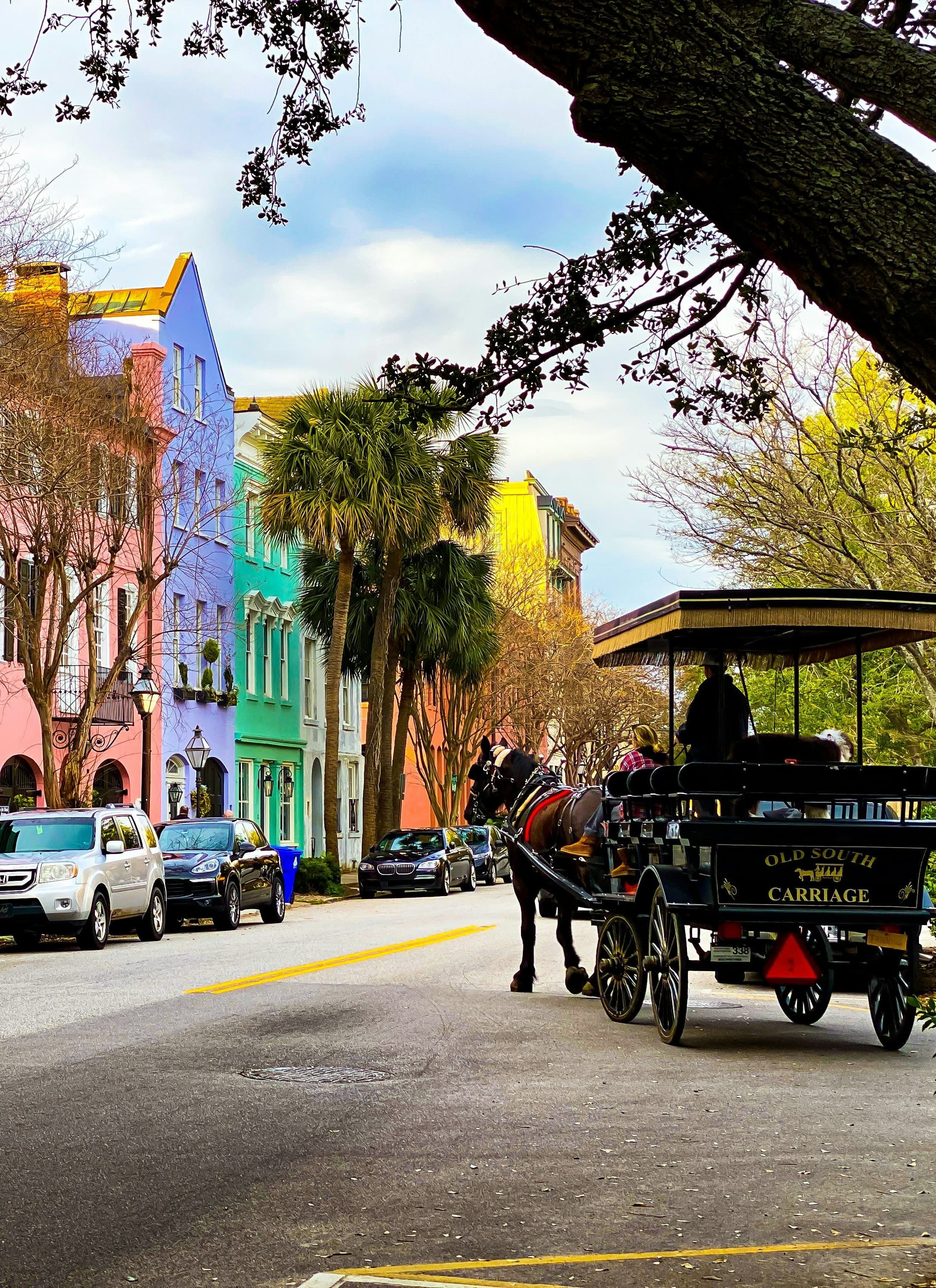 An Expert's Guide to the Holy City: Charleston, South Carolina curated by Kellyn Wilson