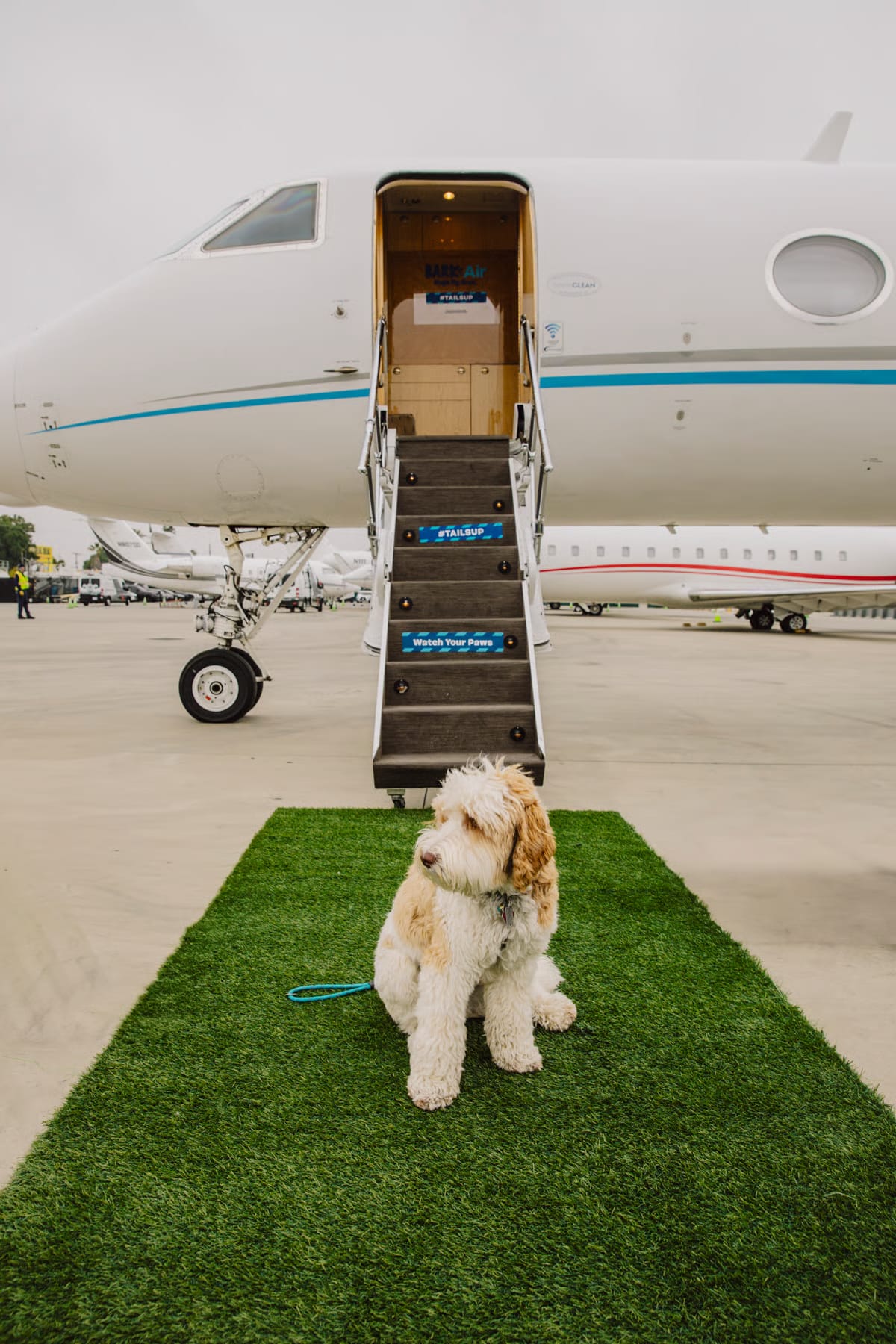 Fora - BARK Air partner services