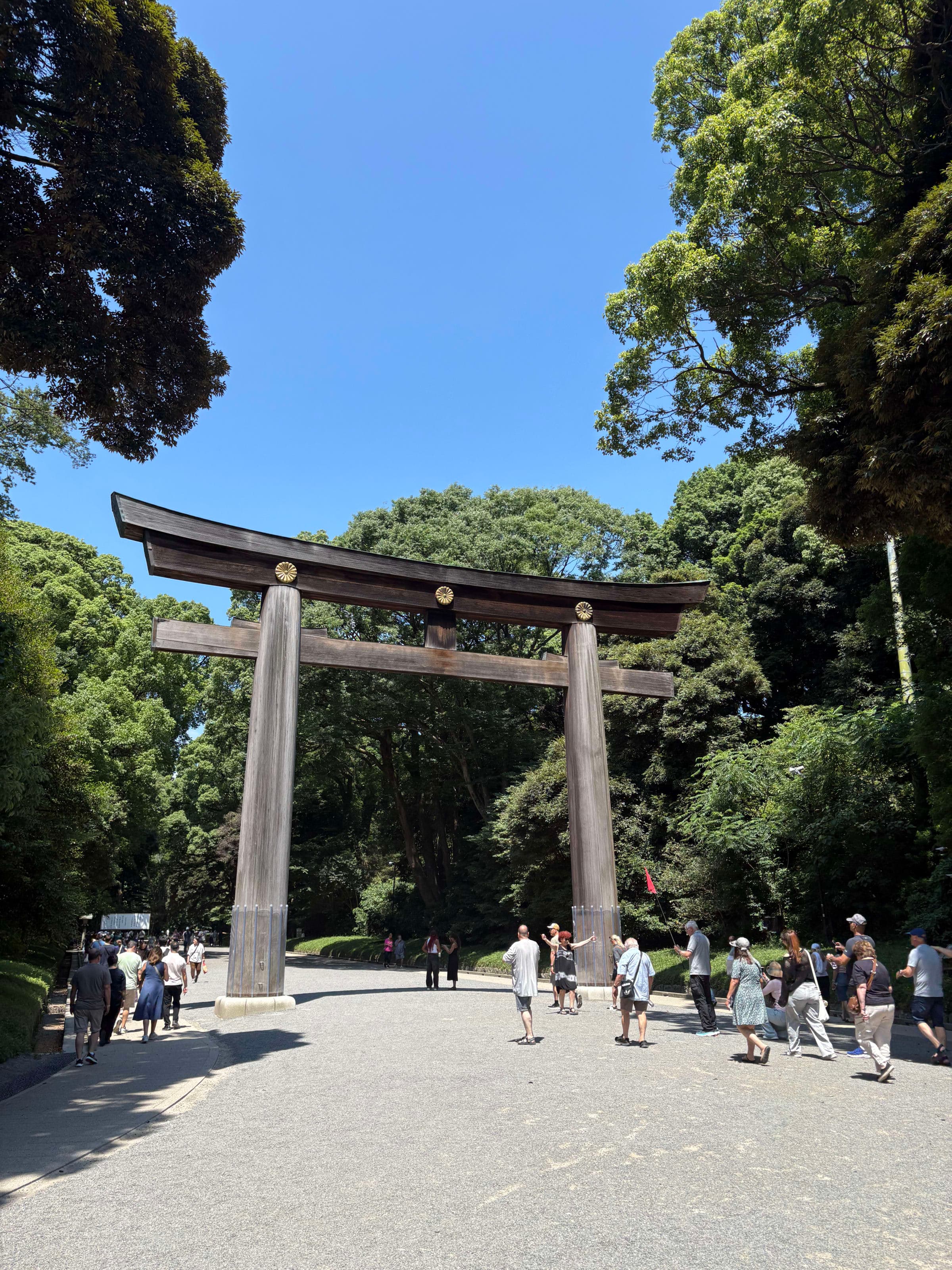 Guide for a First Trip to Tokyo, Japan curated by Alena Anderson