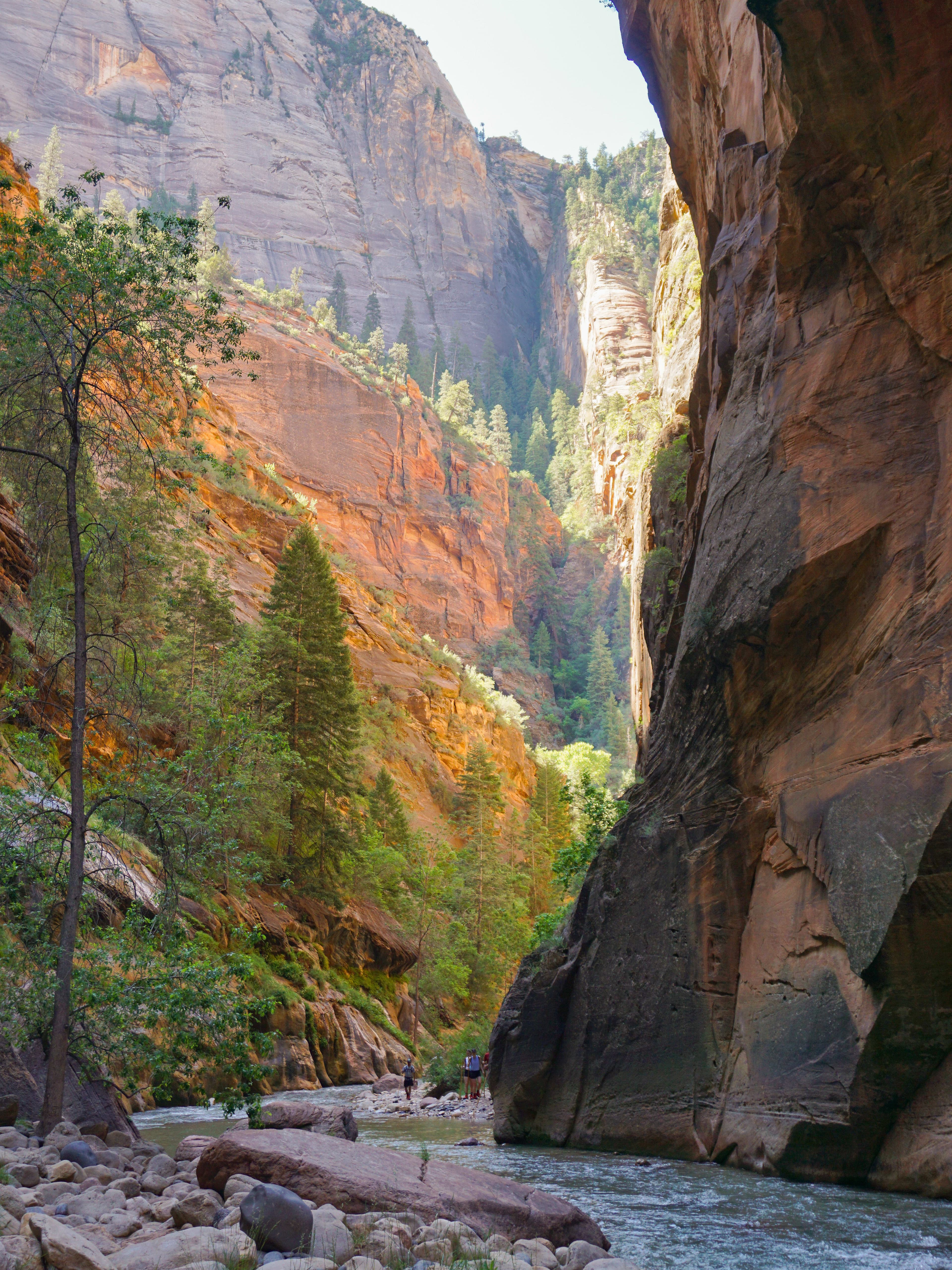 Zion: Must-Experience Moments in a Gem of the American Southwest curated by Brittany Robbins
