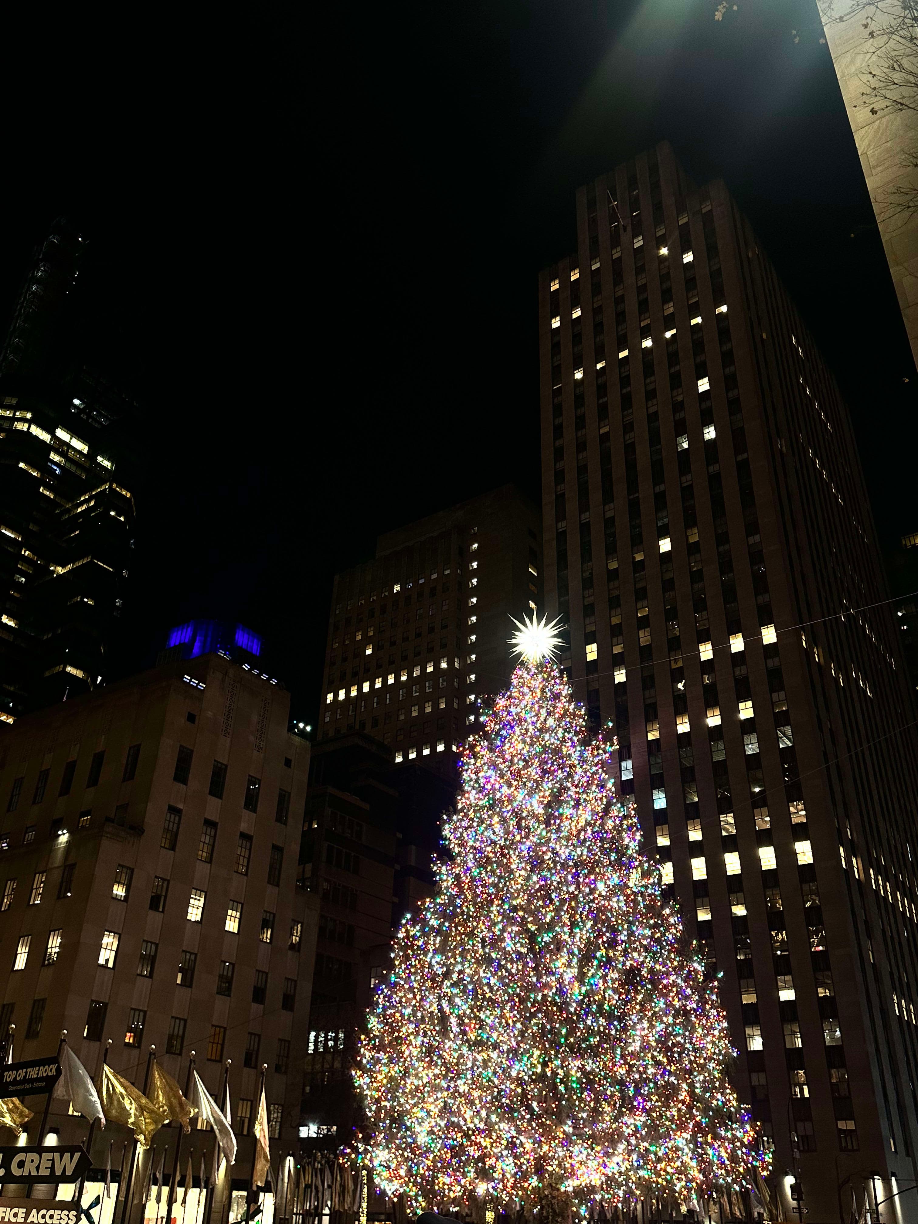 NYC in Winter: What to See, Eat & Do curated by Emma Heaney