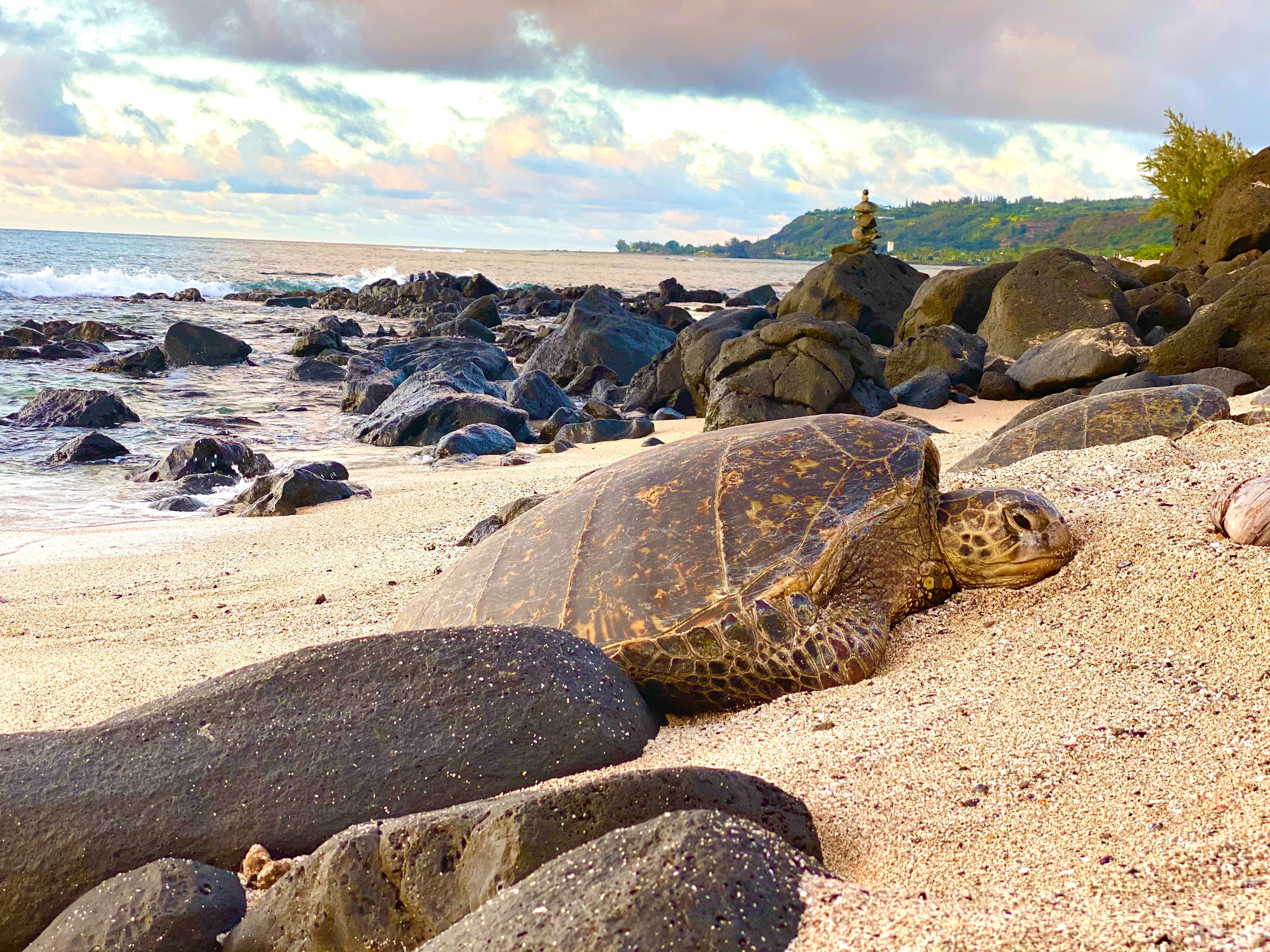 Aloha O'ahu: A Tropical 4-Day Itinerary curated by Brianna Lawson