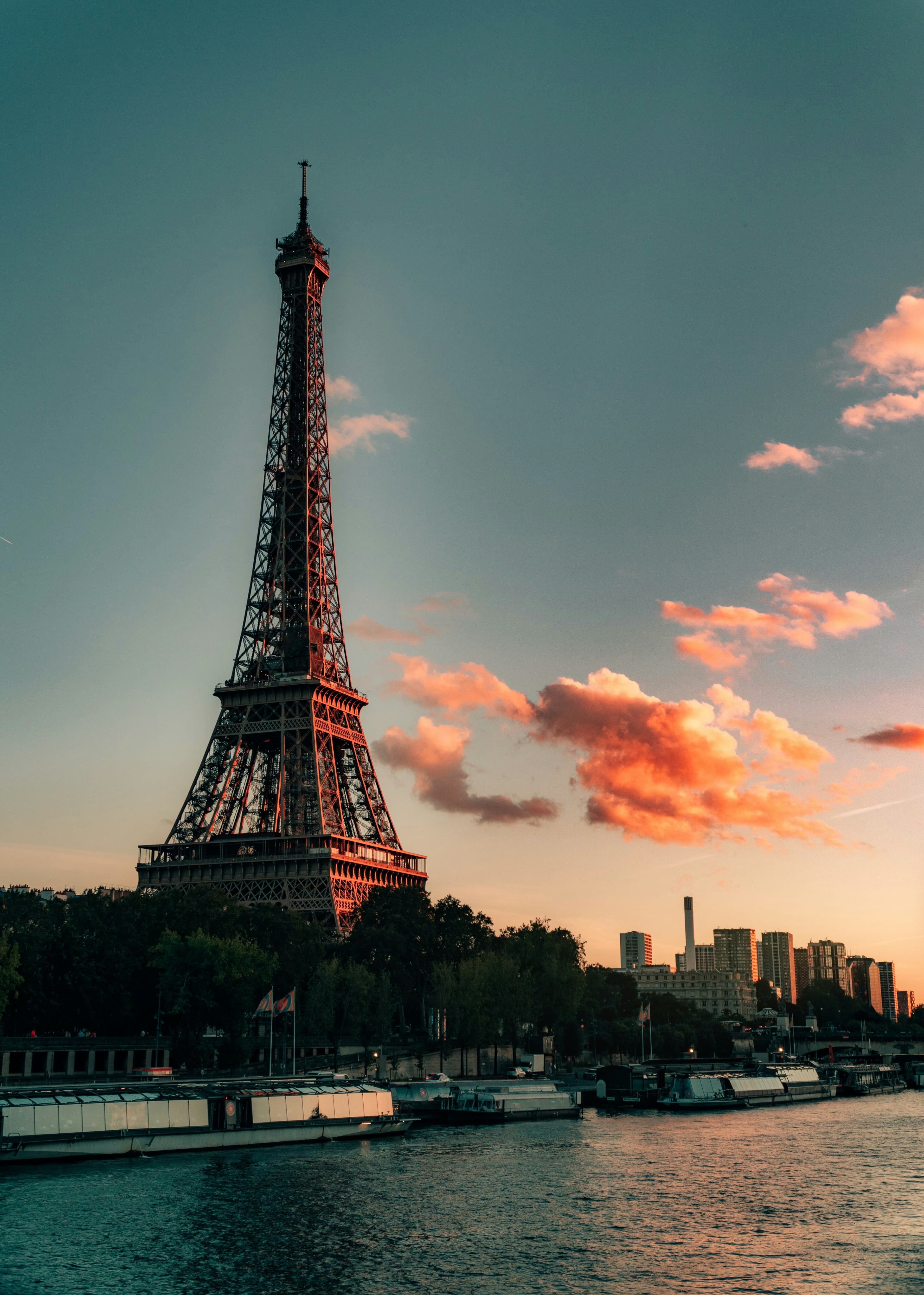 Eat, Sip, Paris curated by Sarah Miller