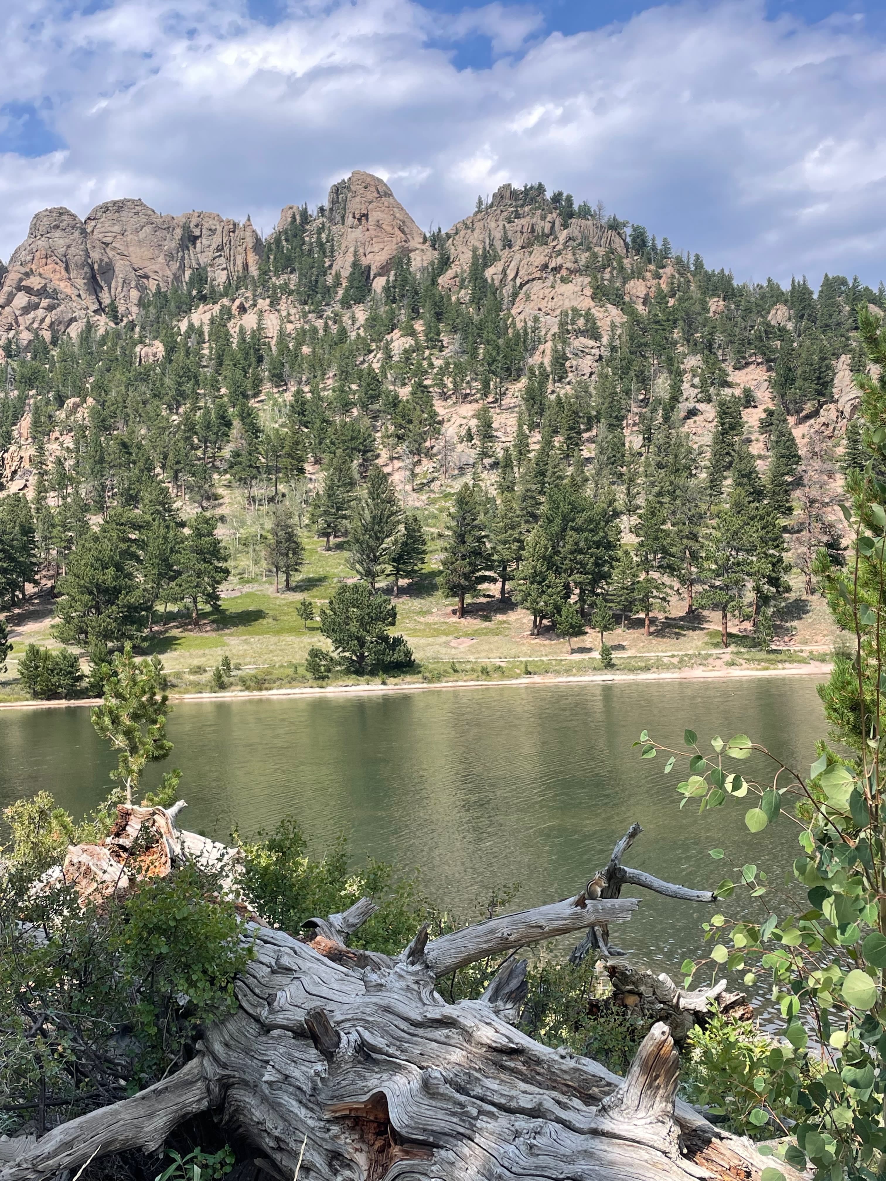 Solo in the City: A Mile-High Adventure in Denver curated by Monica Reason