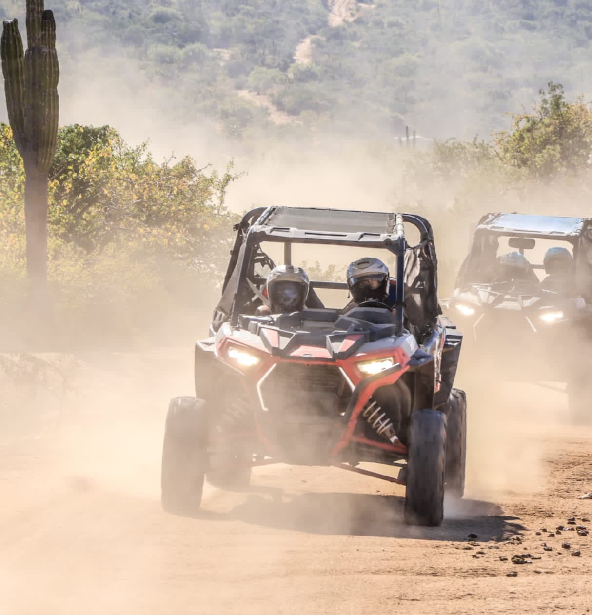 Whale Watching & Off-Roading in Los Cabos curated by Paula Salas