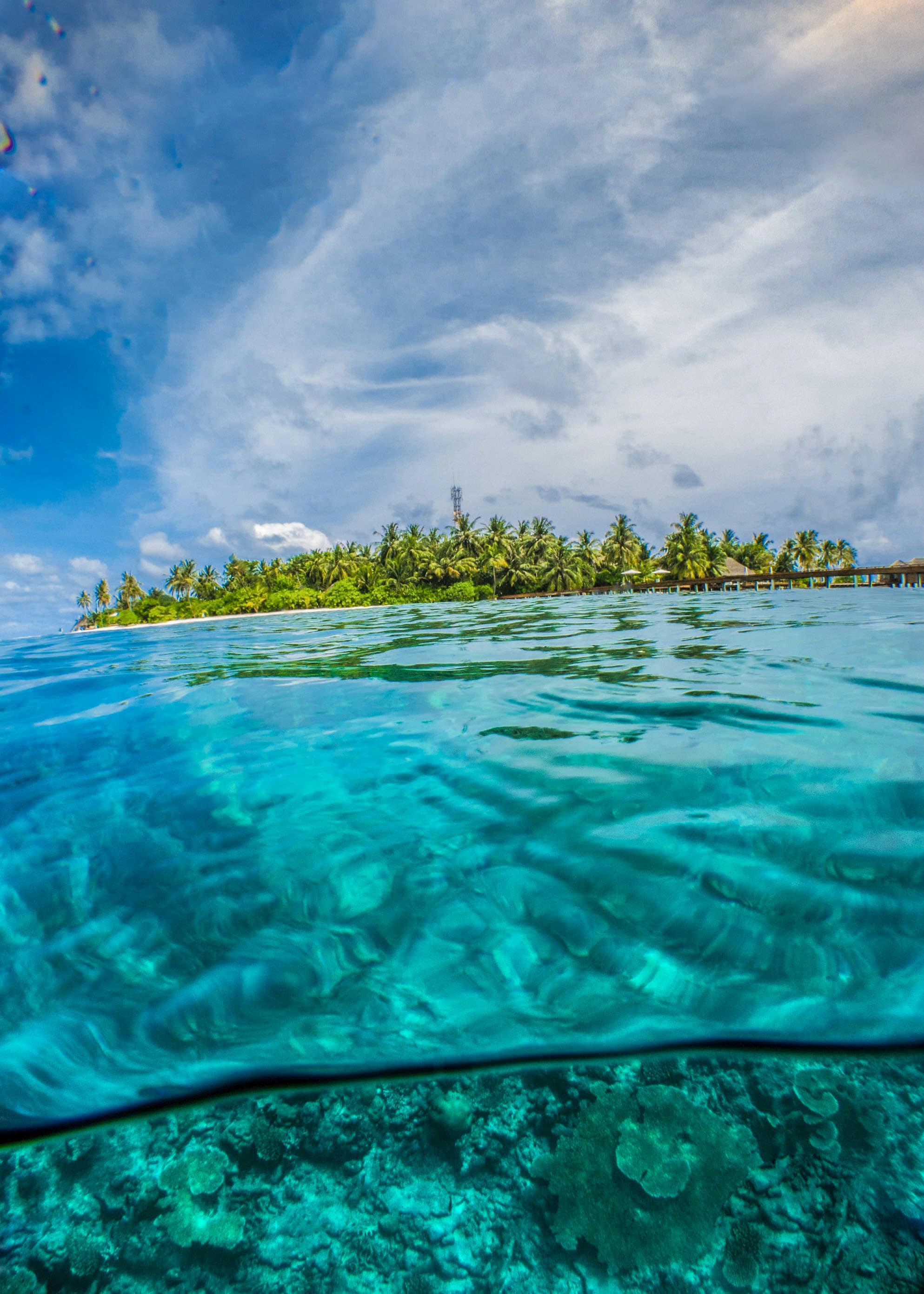 The Best of Fiji curated by Nicole Nehls