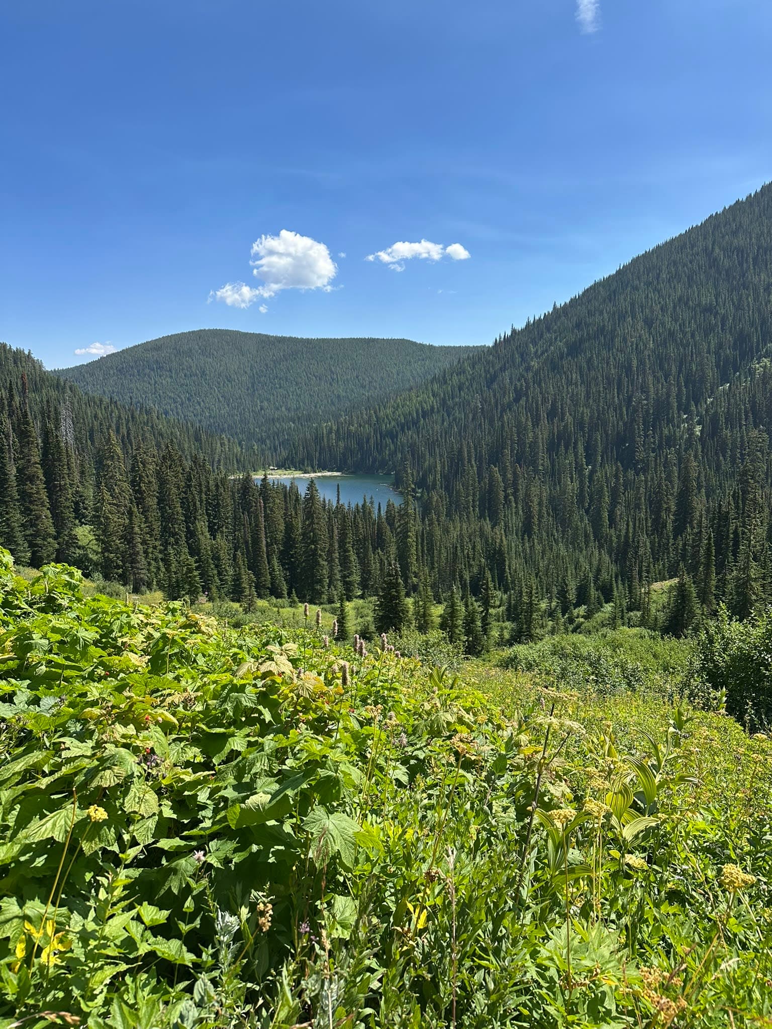 A Family Retreat to Alpine Falls Ranch in Montana curated by Erin Colatrella
