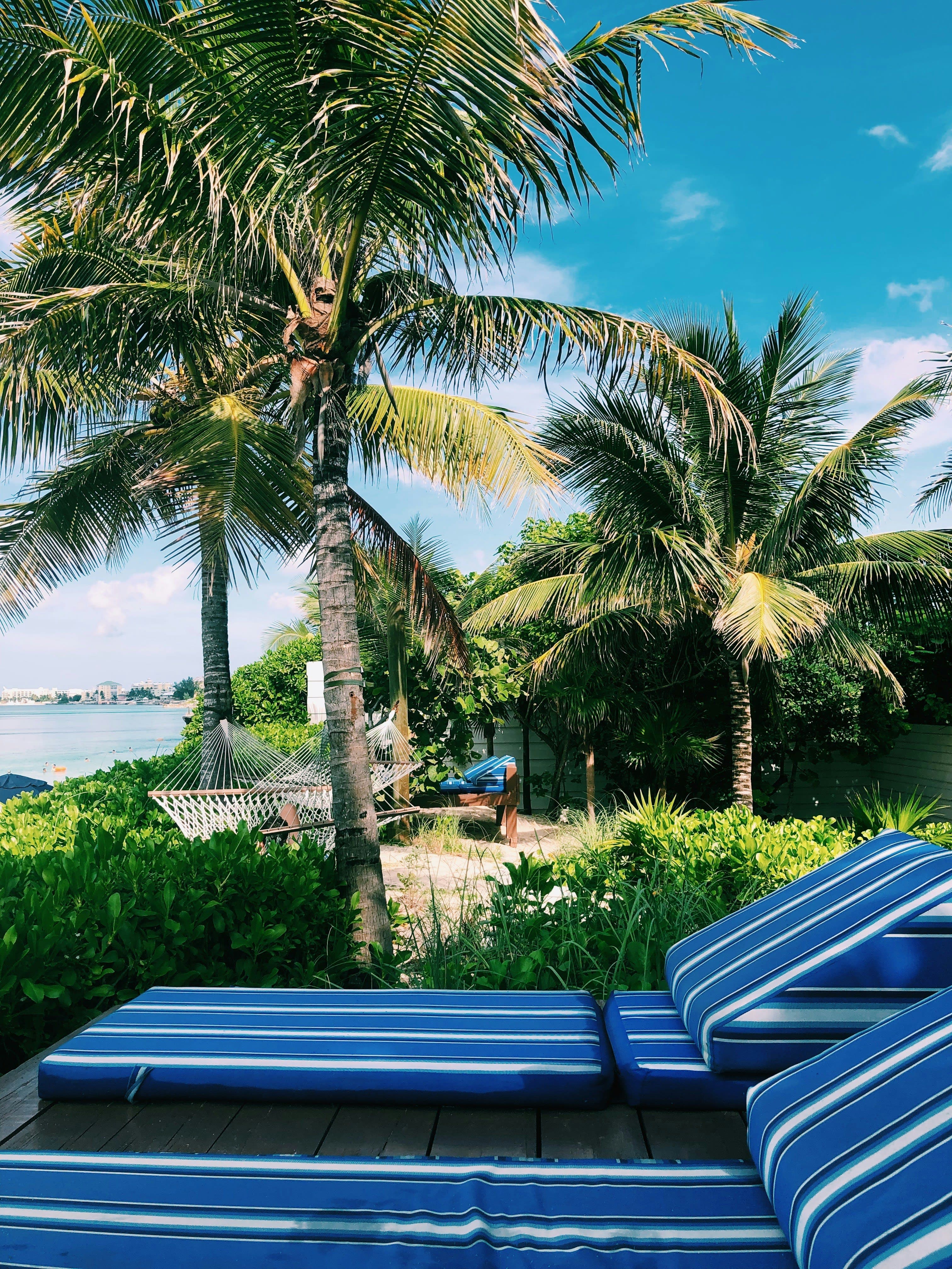 Nassau Bahamas Travel Guide: Best Hotels, Beaches, Things to Do & Where to Eat curated by Chelsea Vanderpool